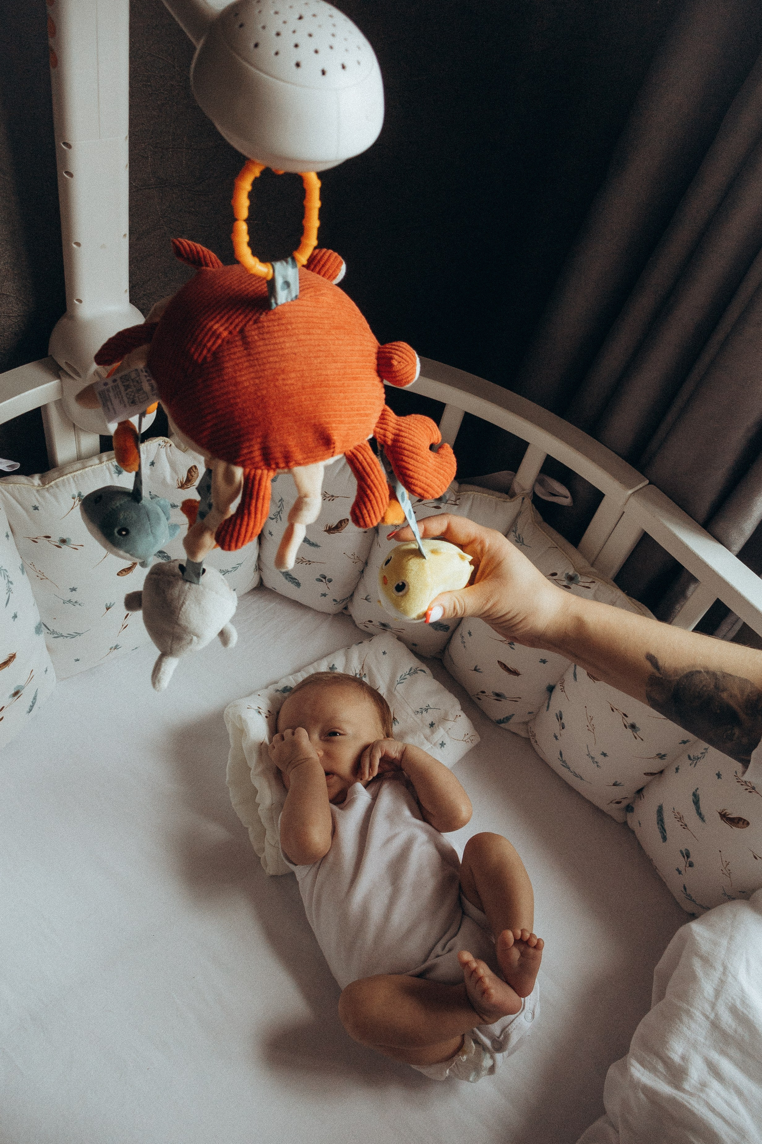 Наш маленький мир. Фотограф Москва Алёна Суворова