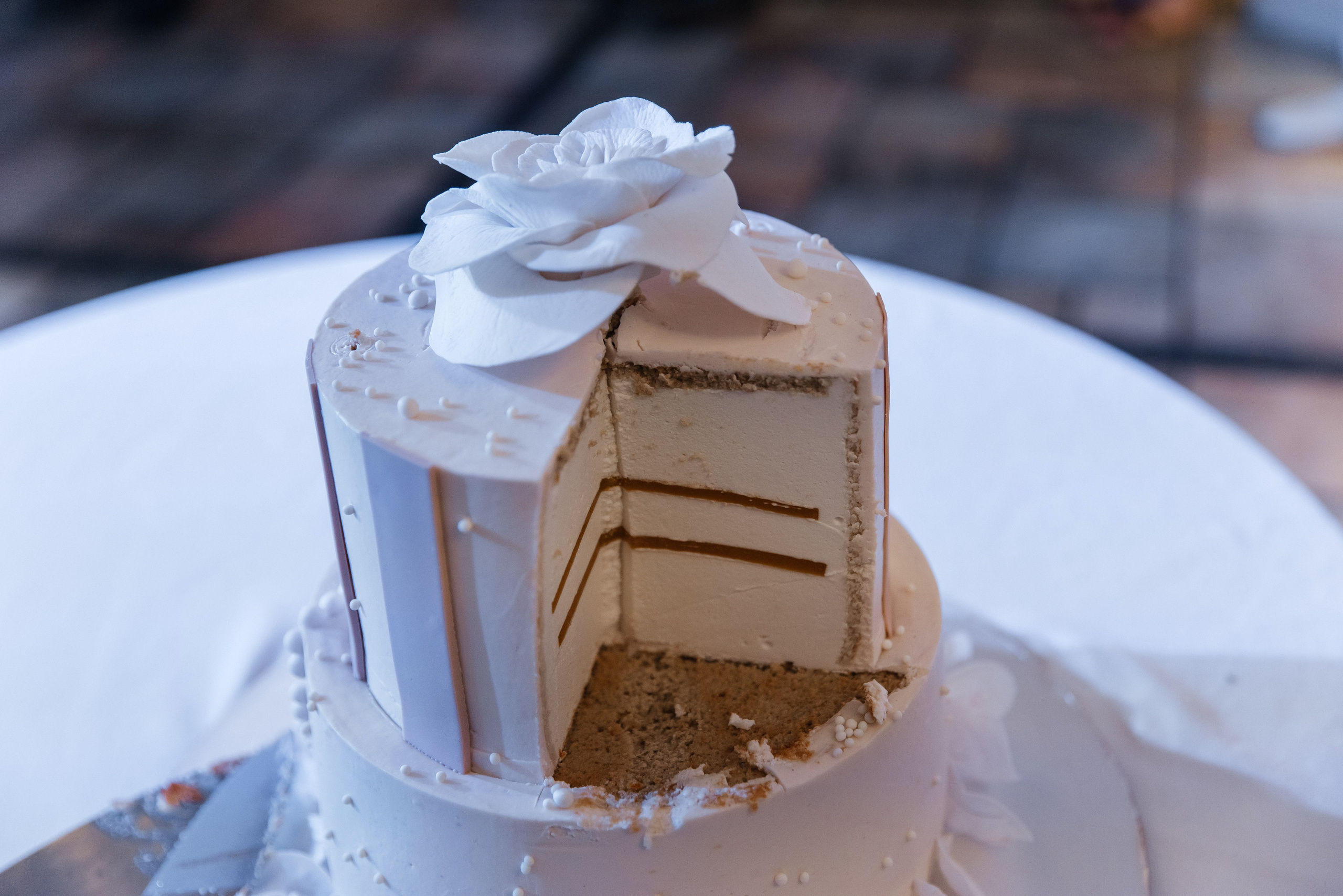 Анастасия и Никита| Зоопарк. Фотограф Москва Шептаев Артём