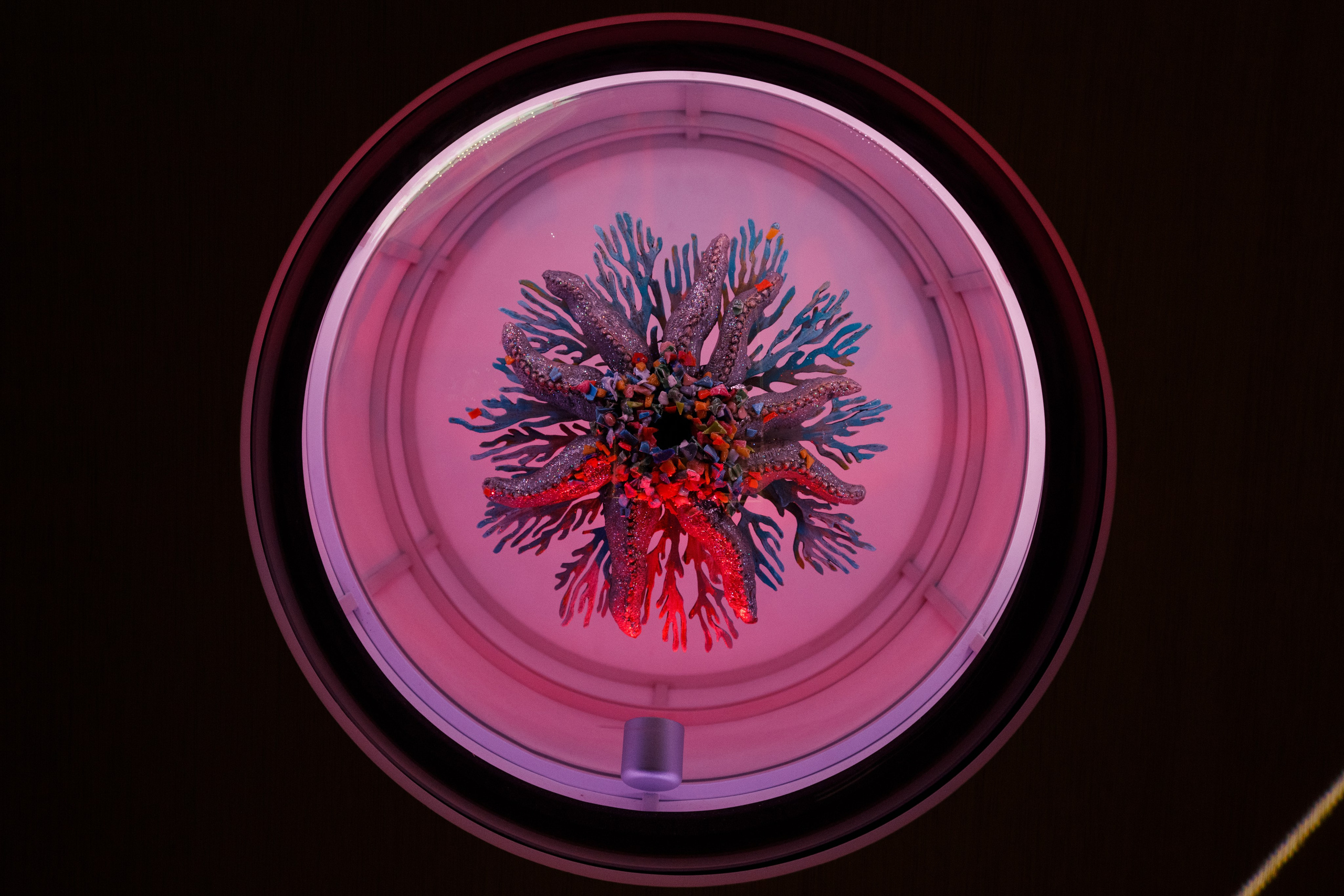 Дубай 2023. Руслан Плахтеев