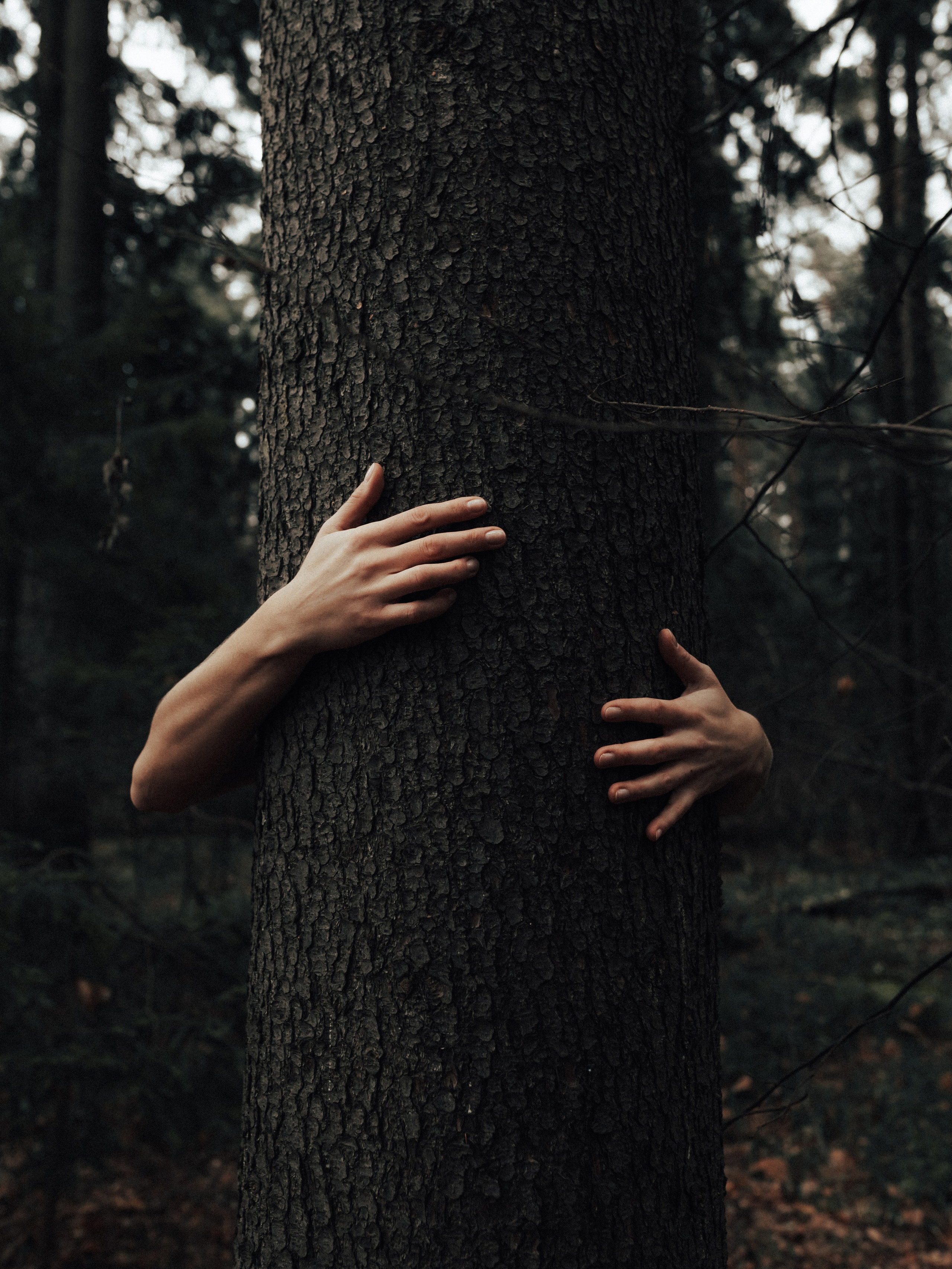 Photographer Masha Gipp