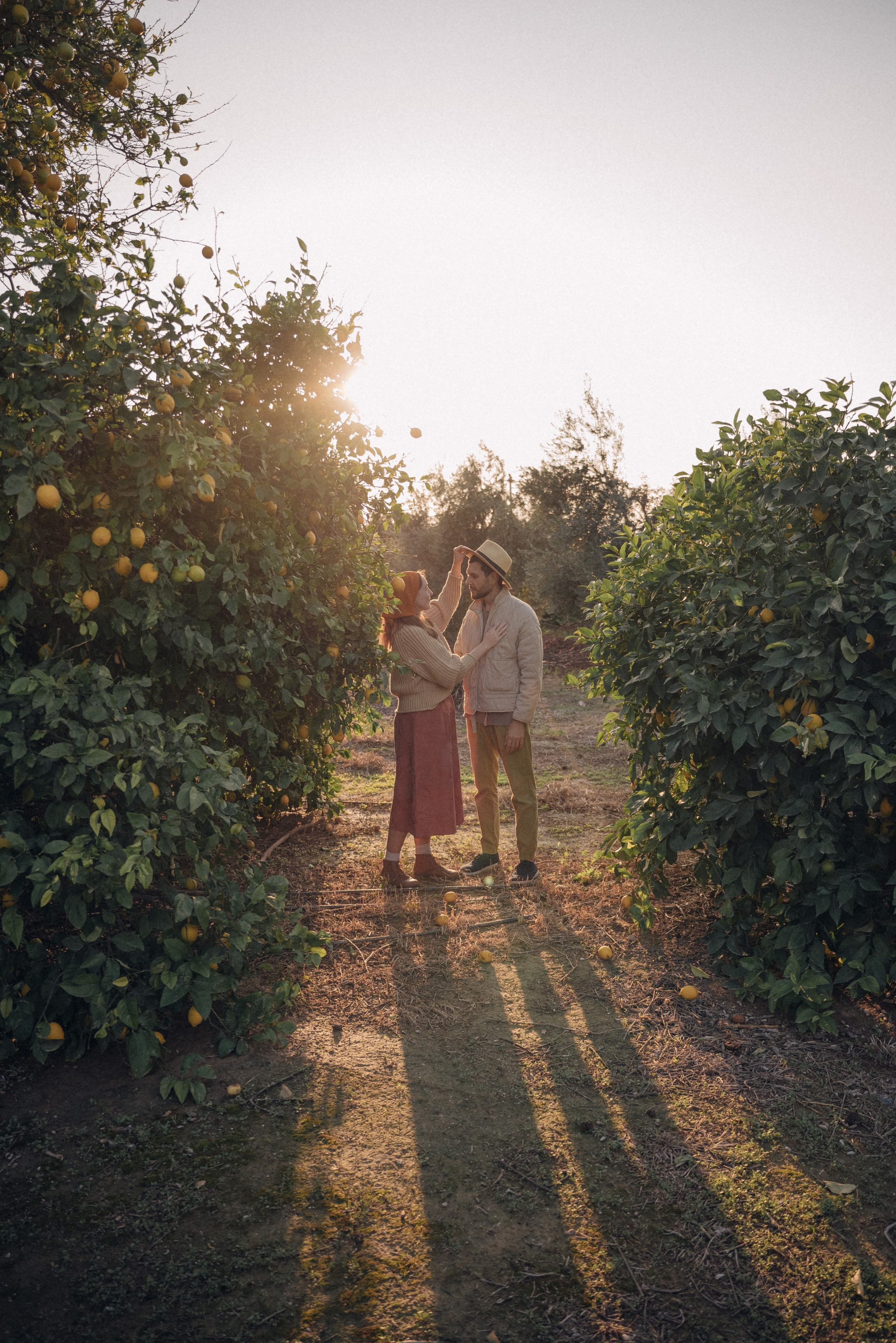 Сбор урожая. Анна Лобанова | фотограф