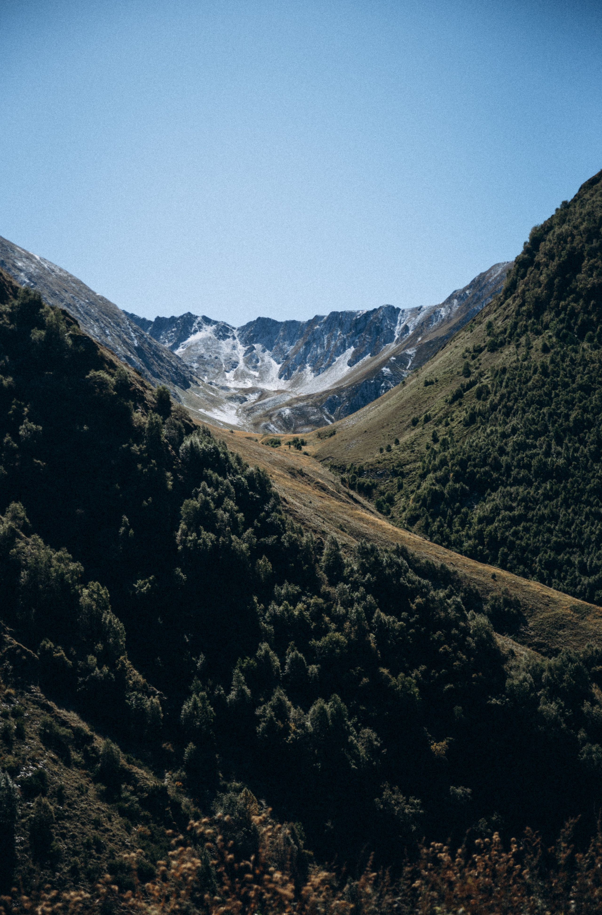 Джута, Грузия 🇬🇪 «Honey Trip». Anita_photo