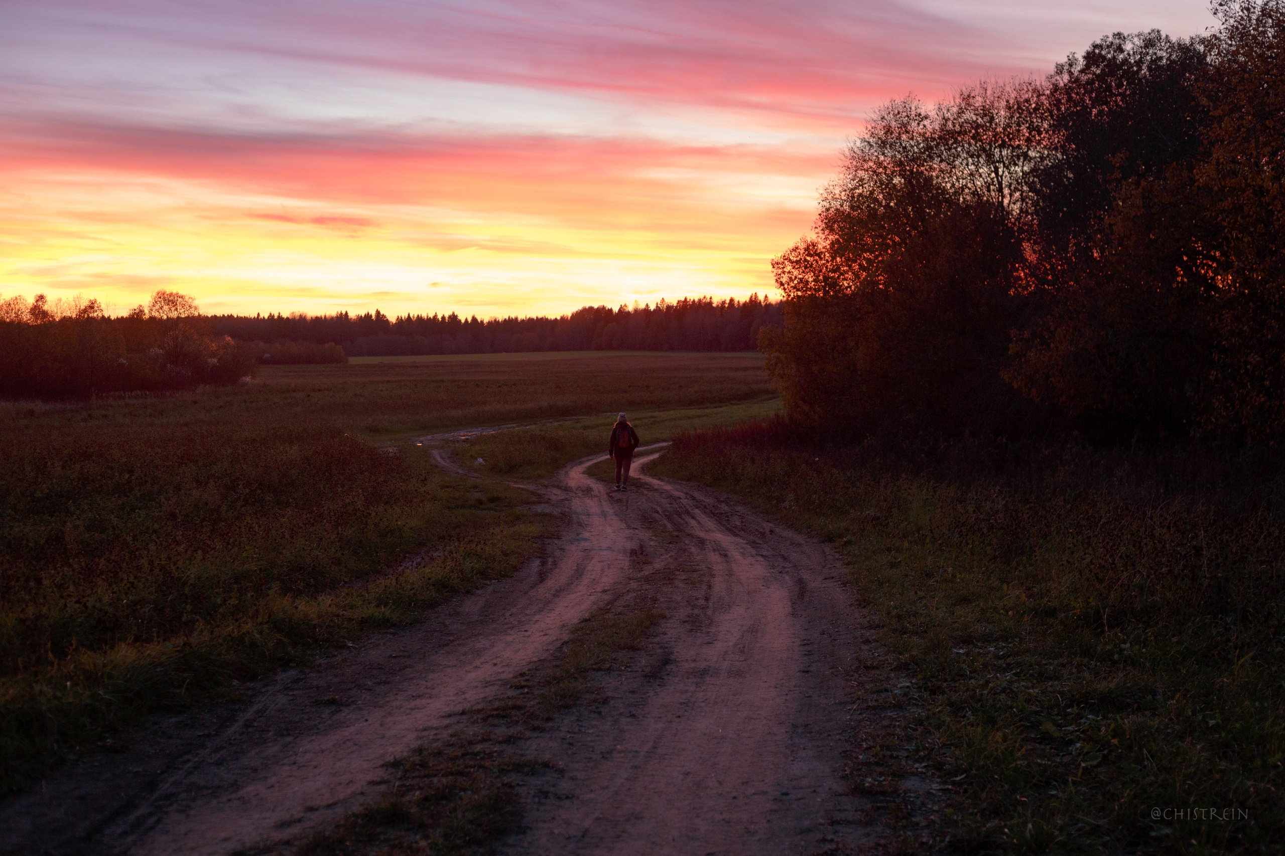 Октябрьский закат в полях. Алина и Лео. Фотограф-анималист Наталия Чистюхина в г. Сосновый Бор и ЛО