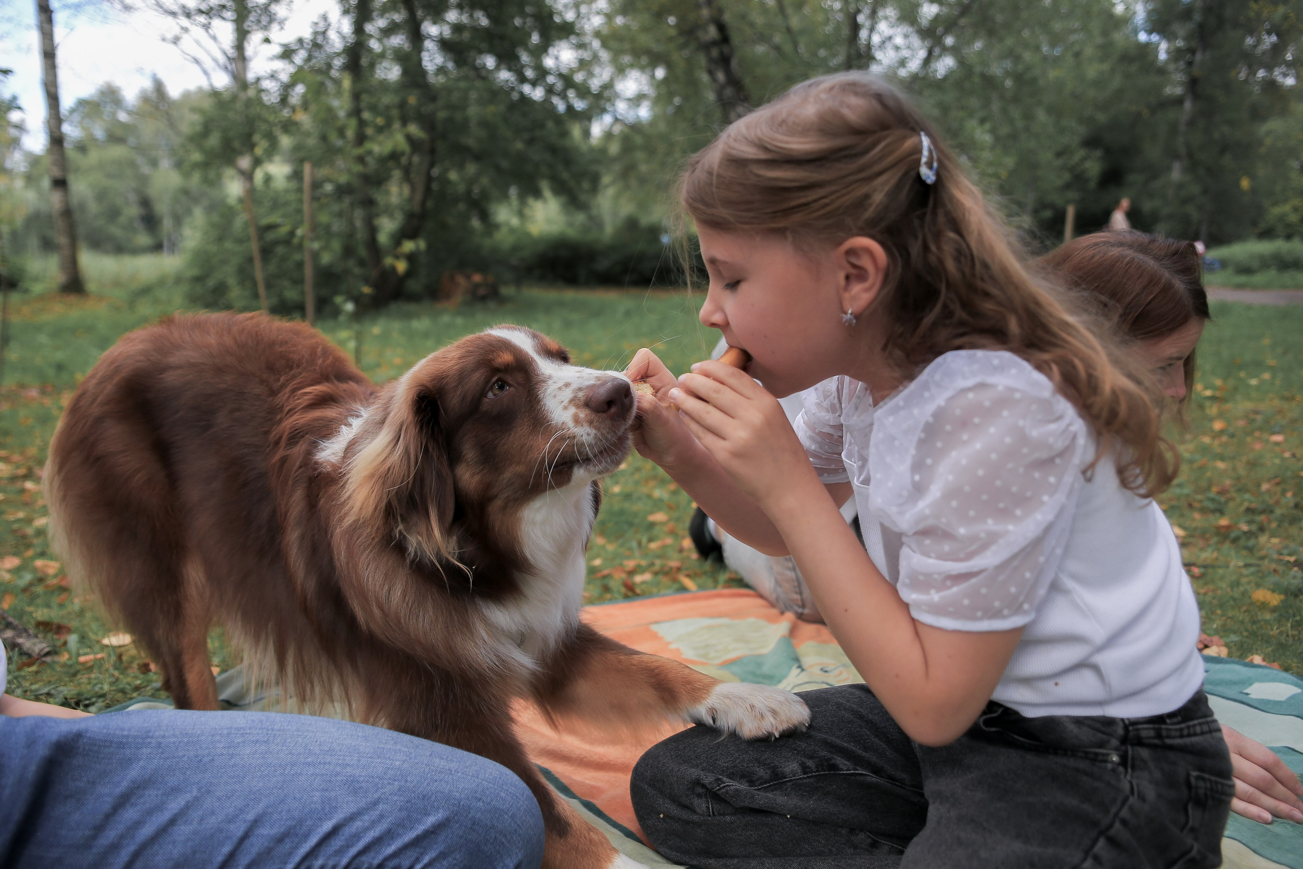 Семейная осенняя прогулка. Антонина Морозова, профессиональный семейный фотограф видеограф