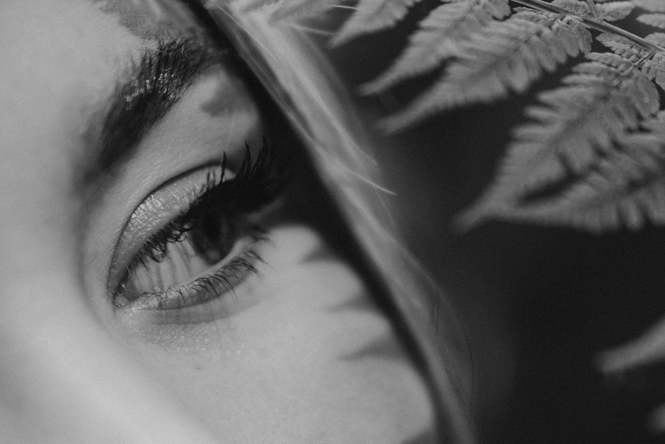 Алена | фотосессия в бору у Волги. Портретный фотограф Москва