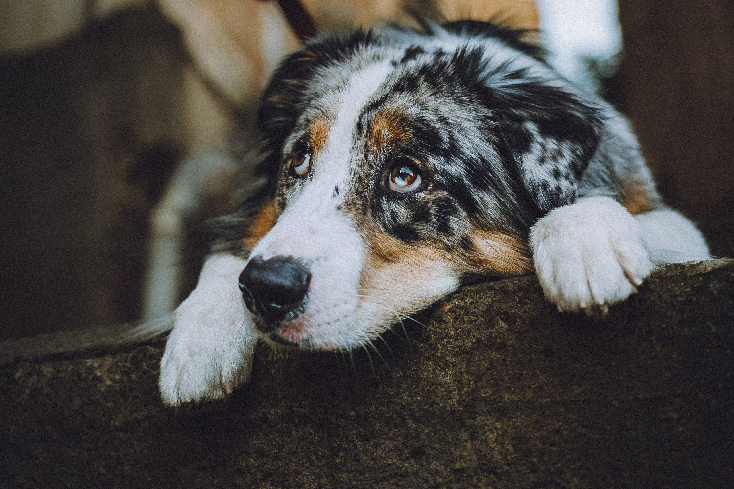 Саша, Рома и Один