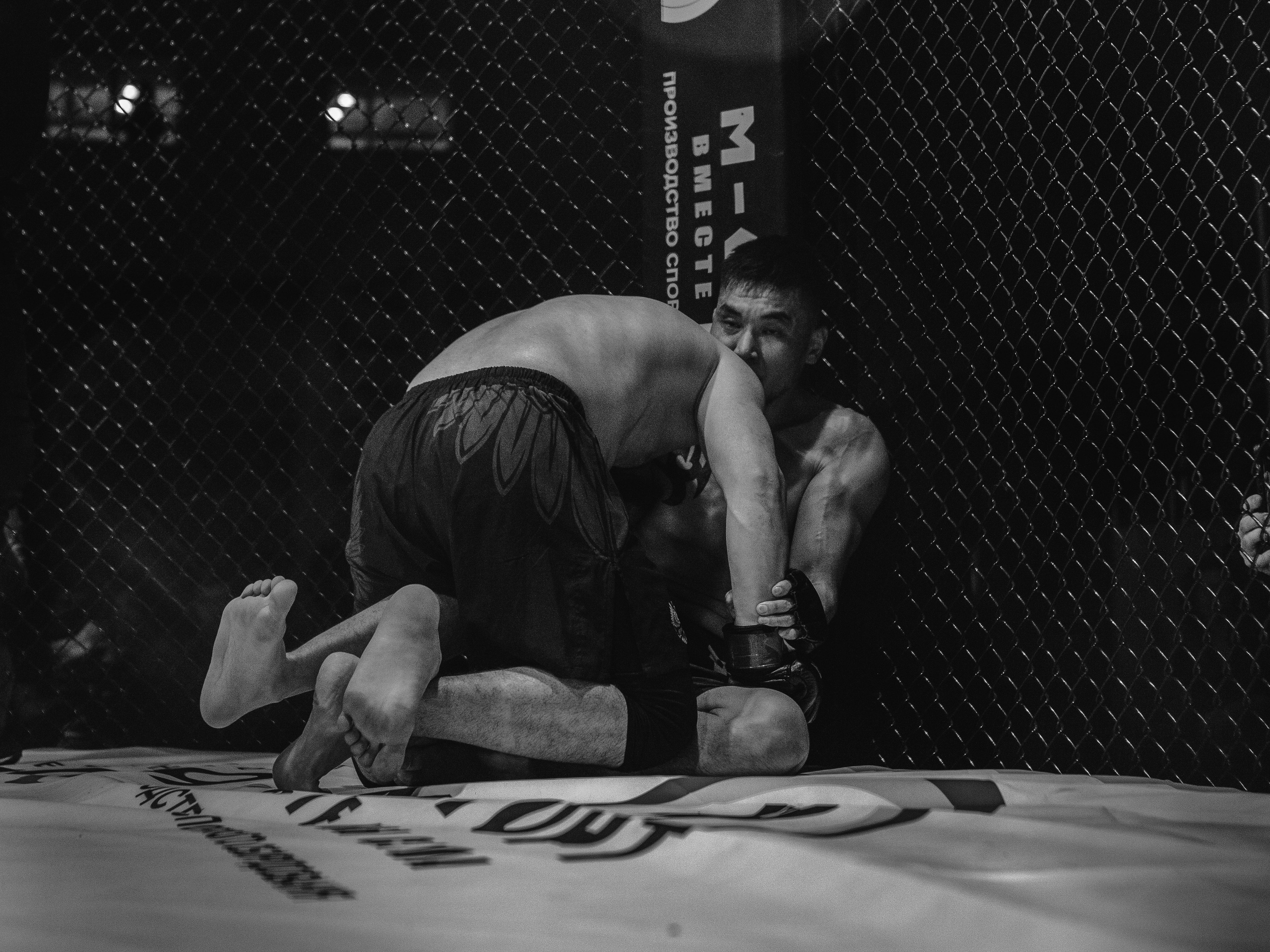 SFL 17 | Siberian Fighting League. Портретный фотограф в Москве Дарья Цезария