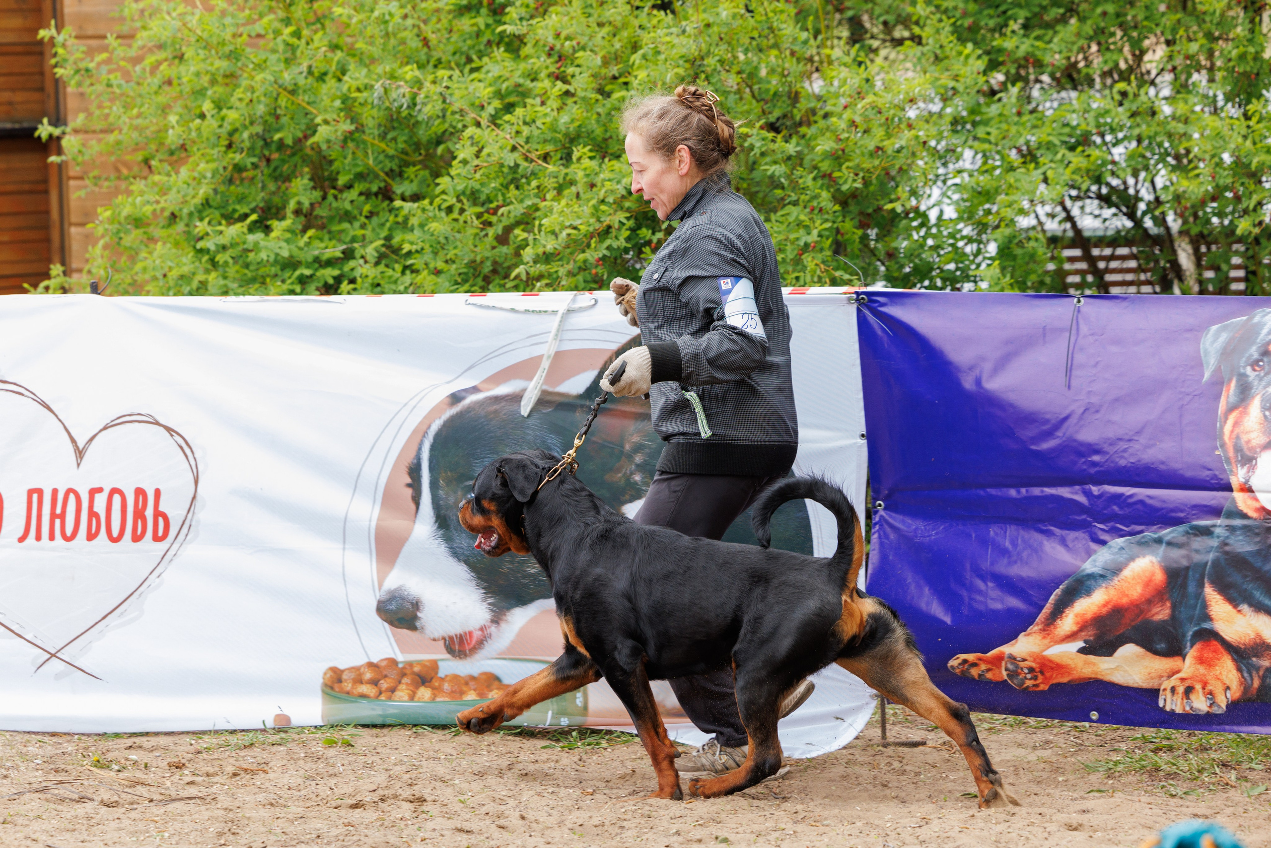Саратов моно ротвейлеров 26-27.04.2025. Фотограф-анималист Юлия Германика