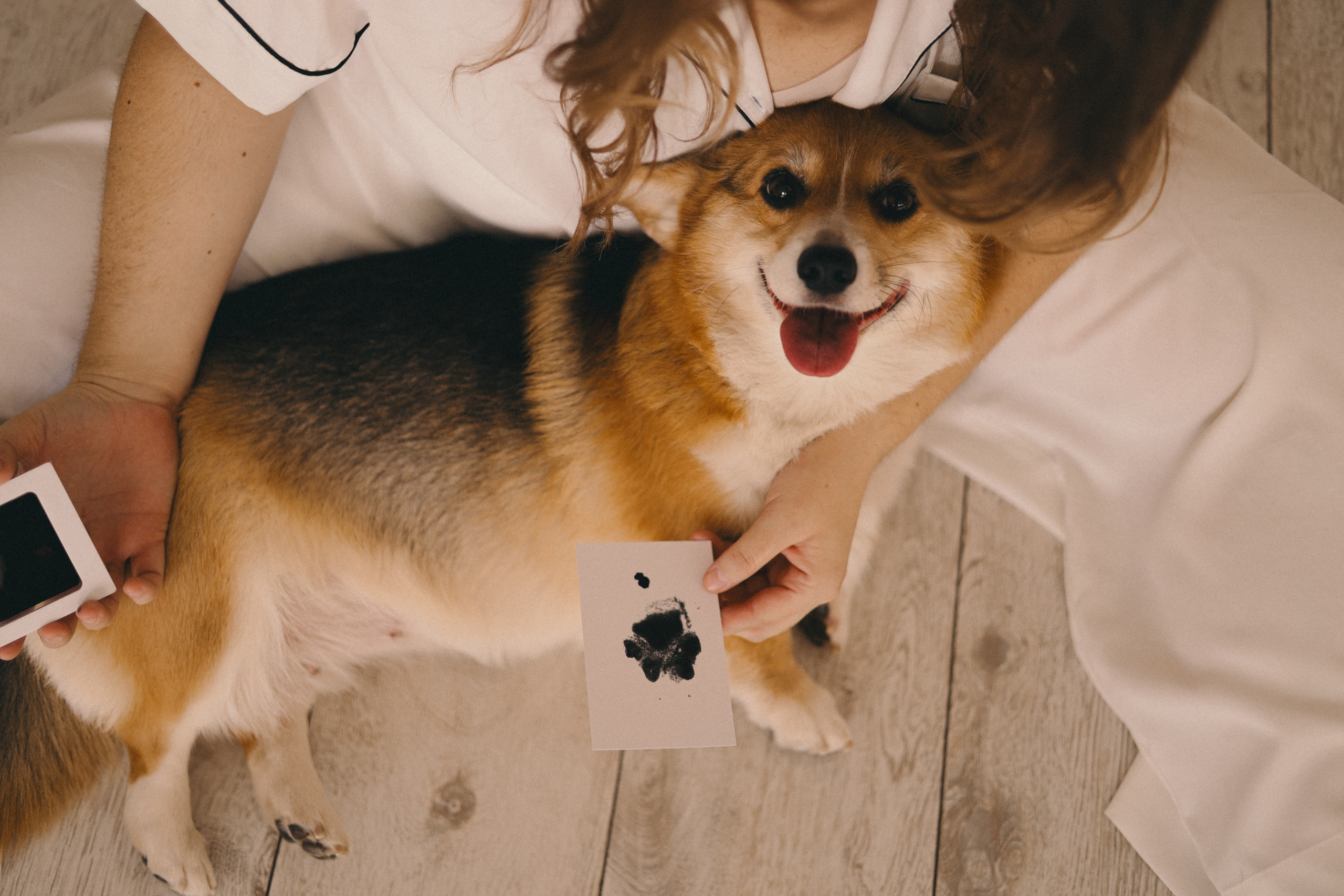 Виктория и Корги. Фотограф Мария Лаенко