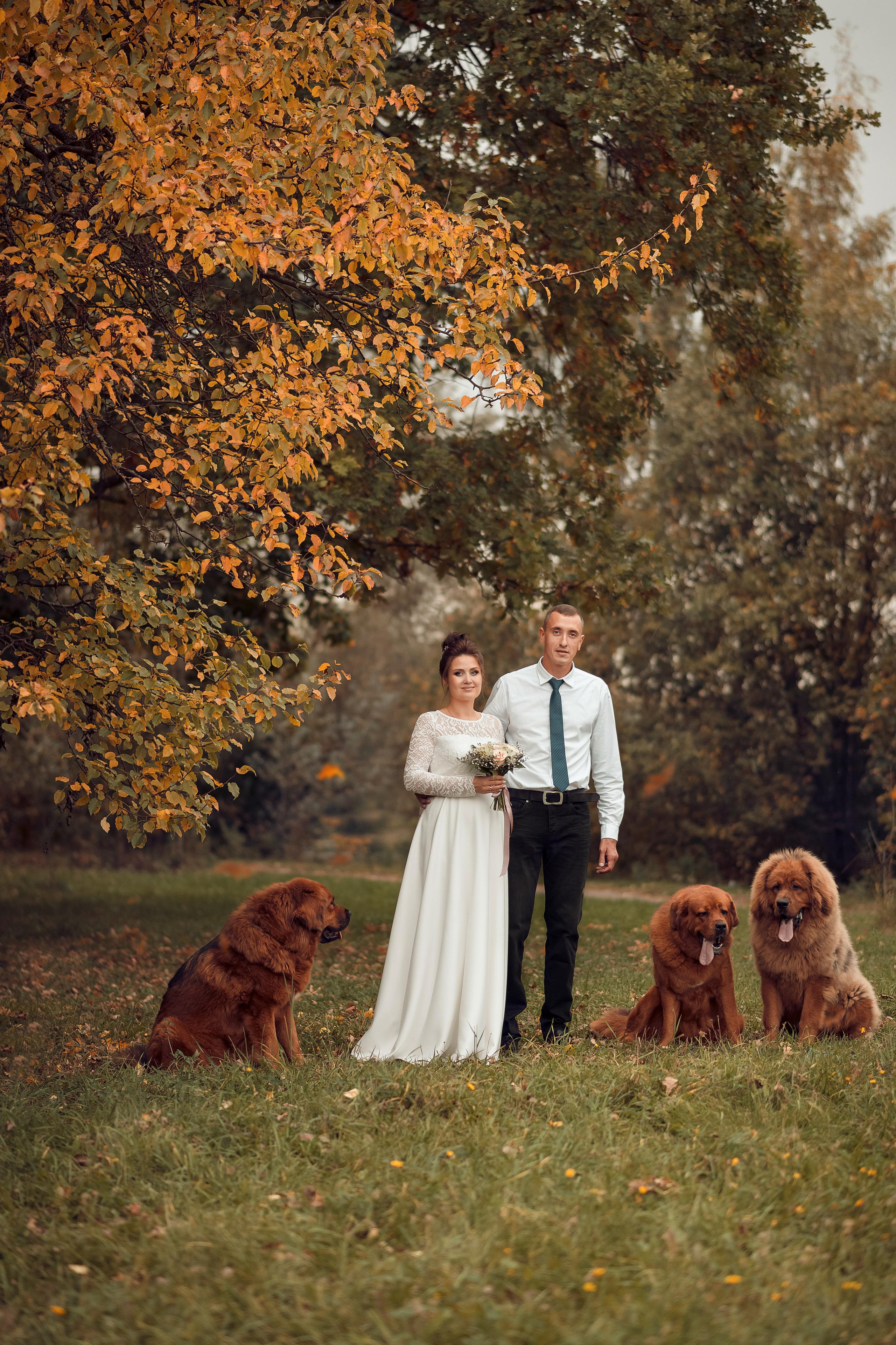 Татьяна и Андрей. Свадебный, семейный и детский фотограф в Москве и области