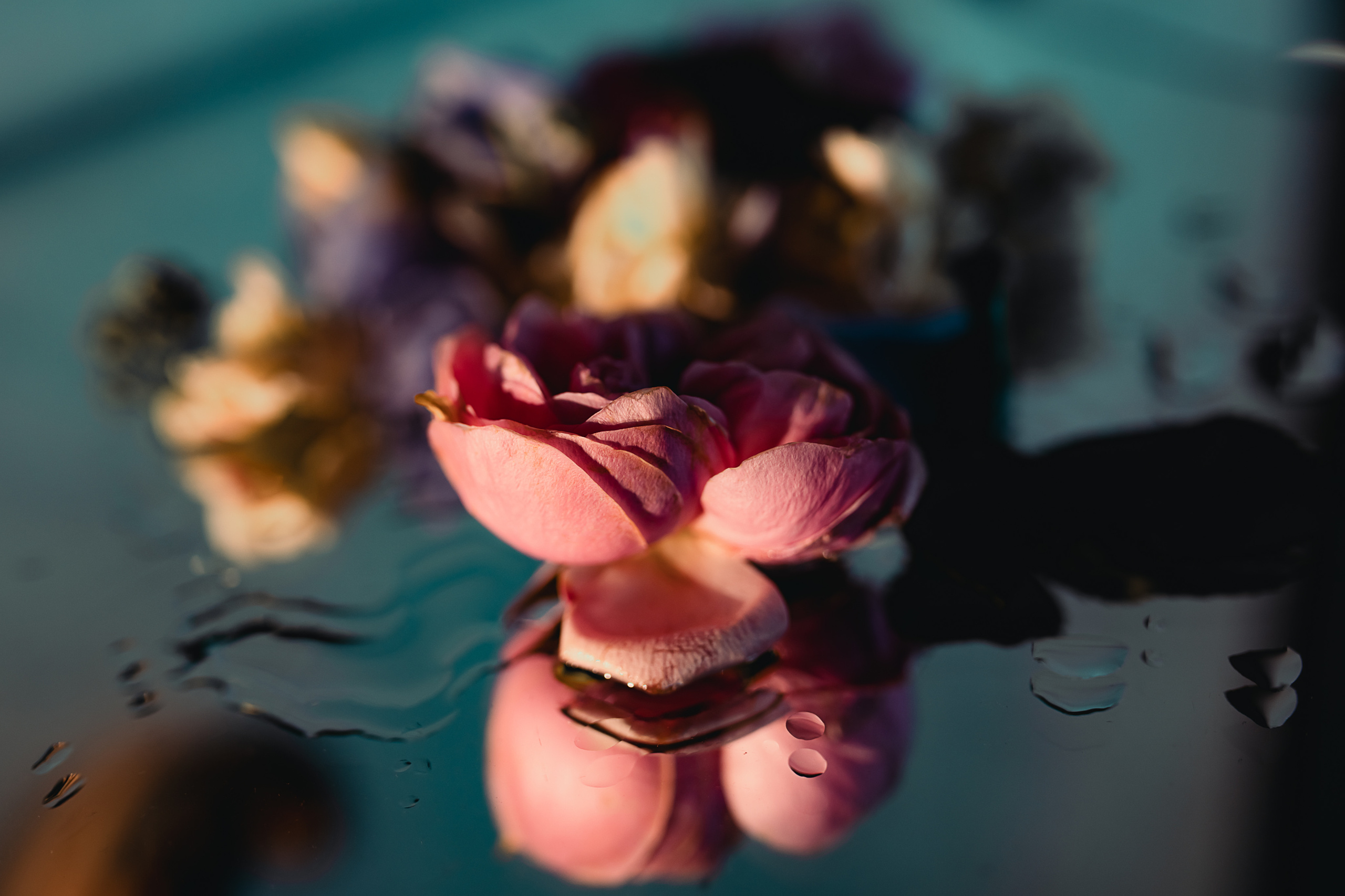 Миша, фотостудия POLYGON, Санкт-Петербург, 2021