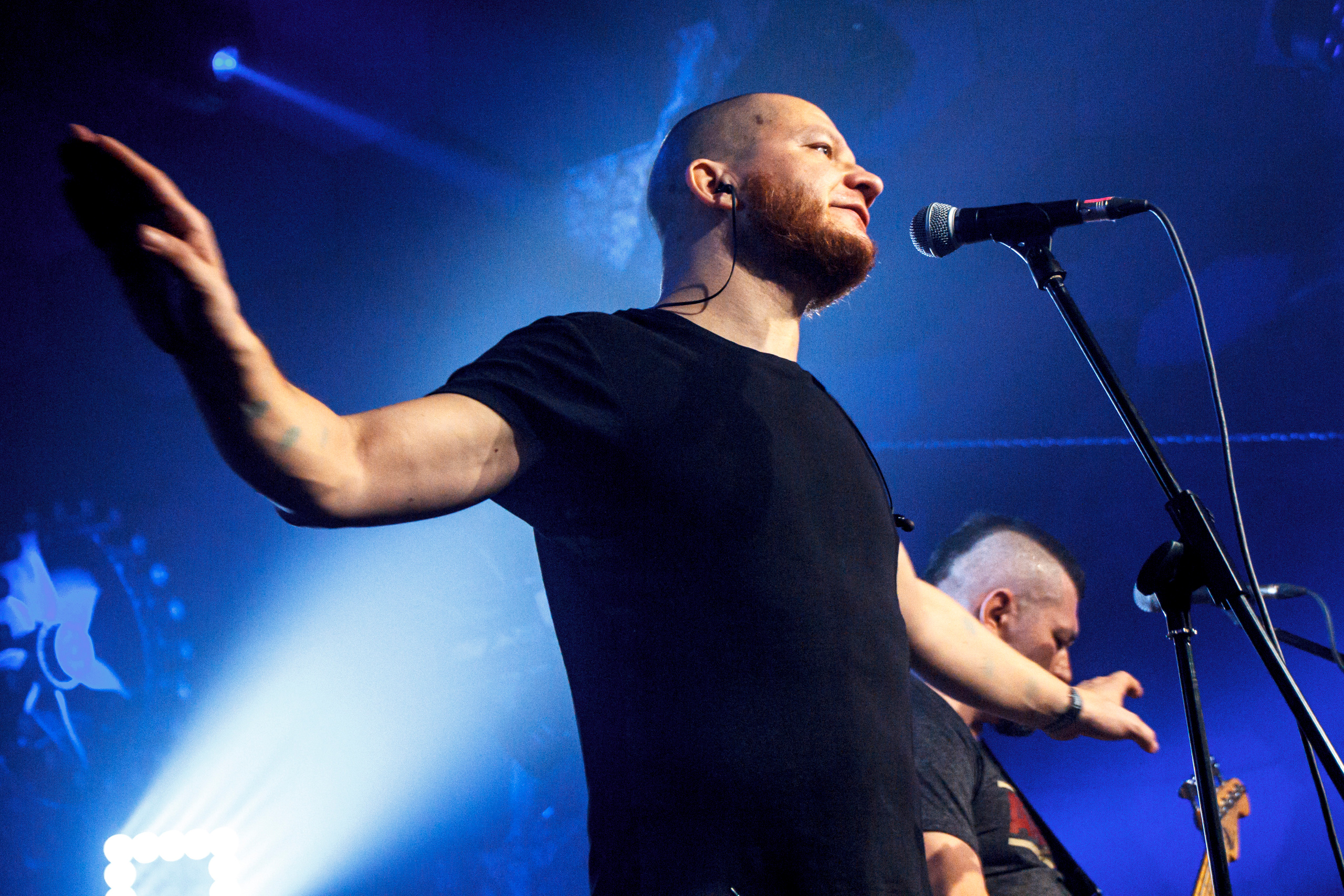 Петля Пристрастия, Акакао, Санкт-Петербург, 2020