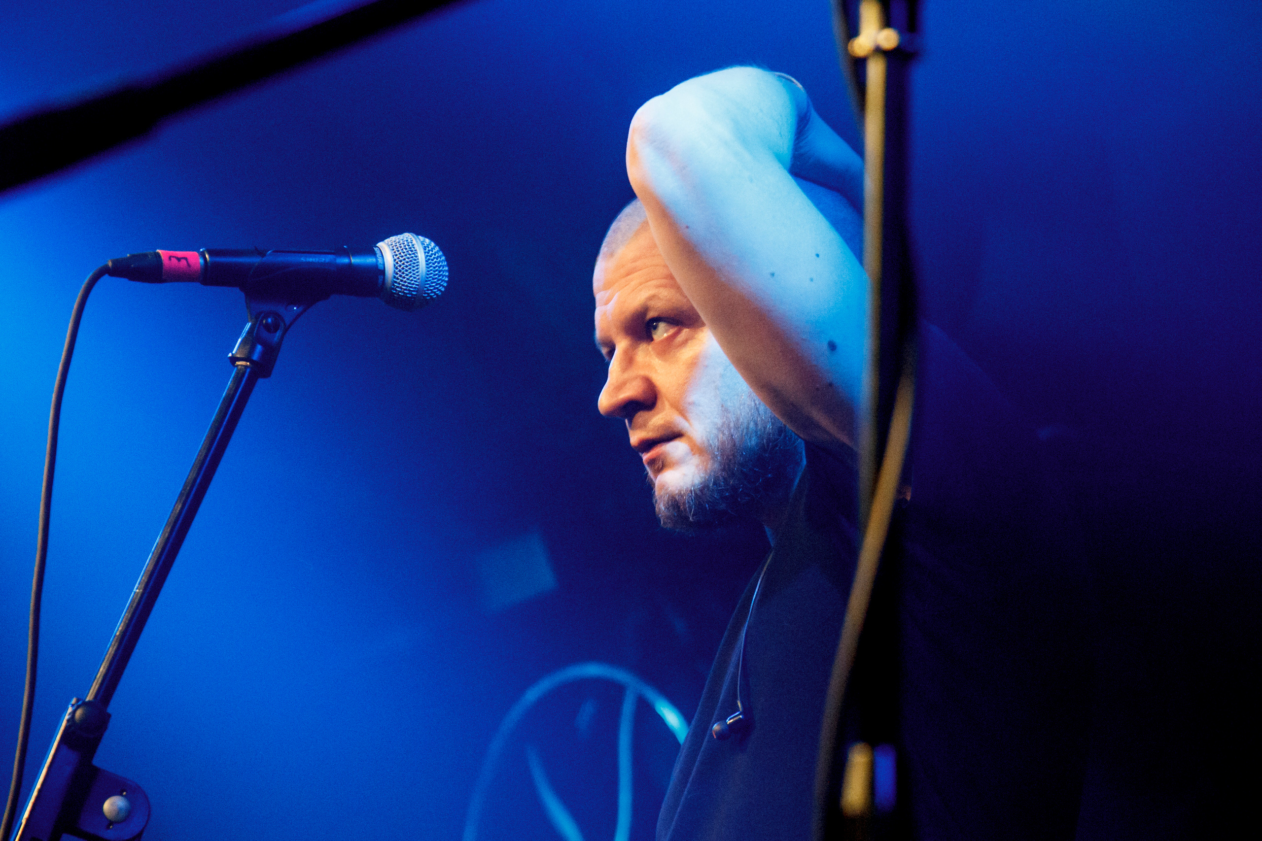 Петля Пристрастия, Акакао, Санкт-Петербург, 2020