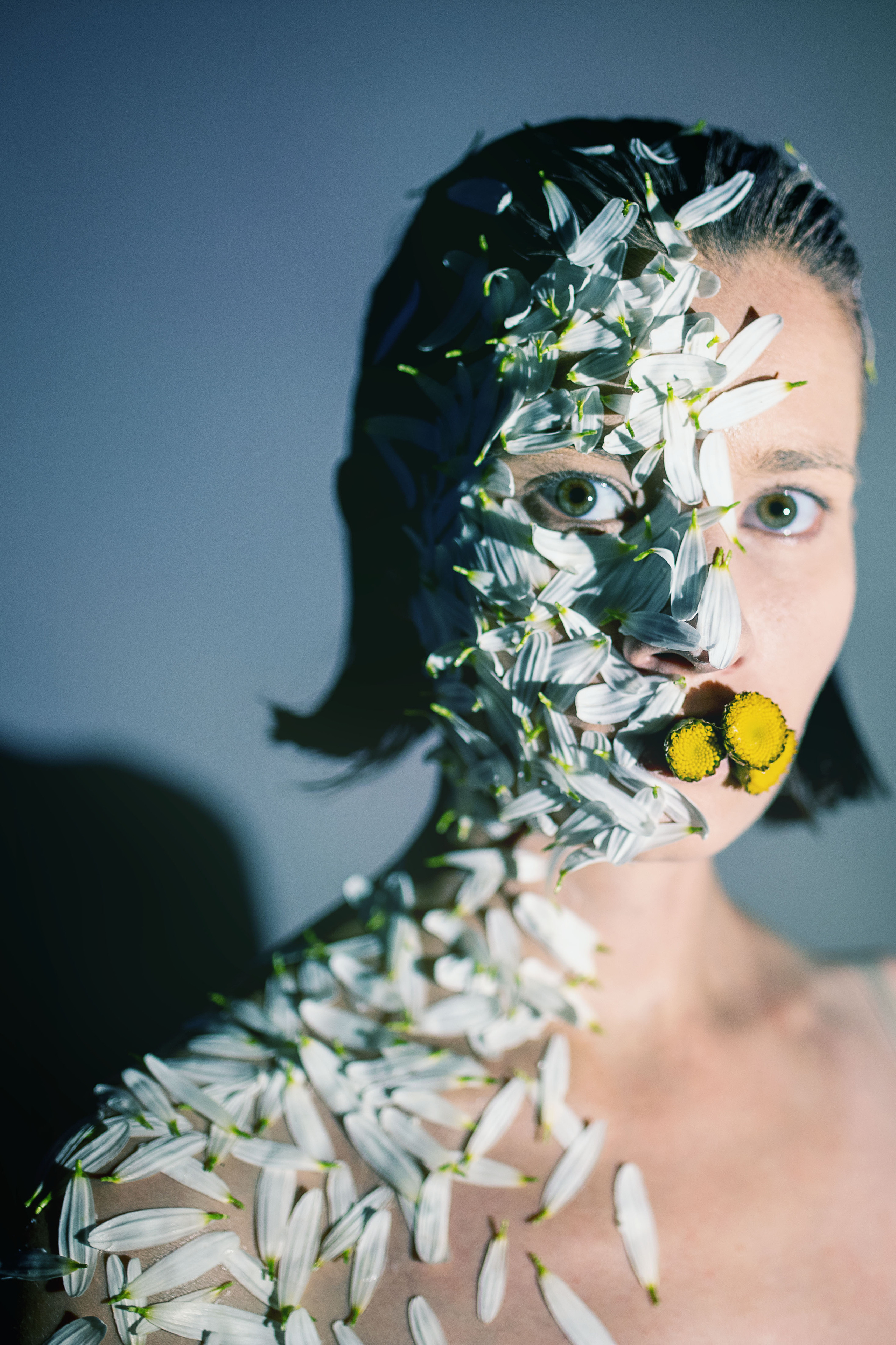 DAISY. Фотограф Елена Богачева (lenalena_na_na_na)