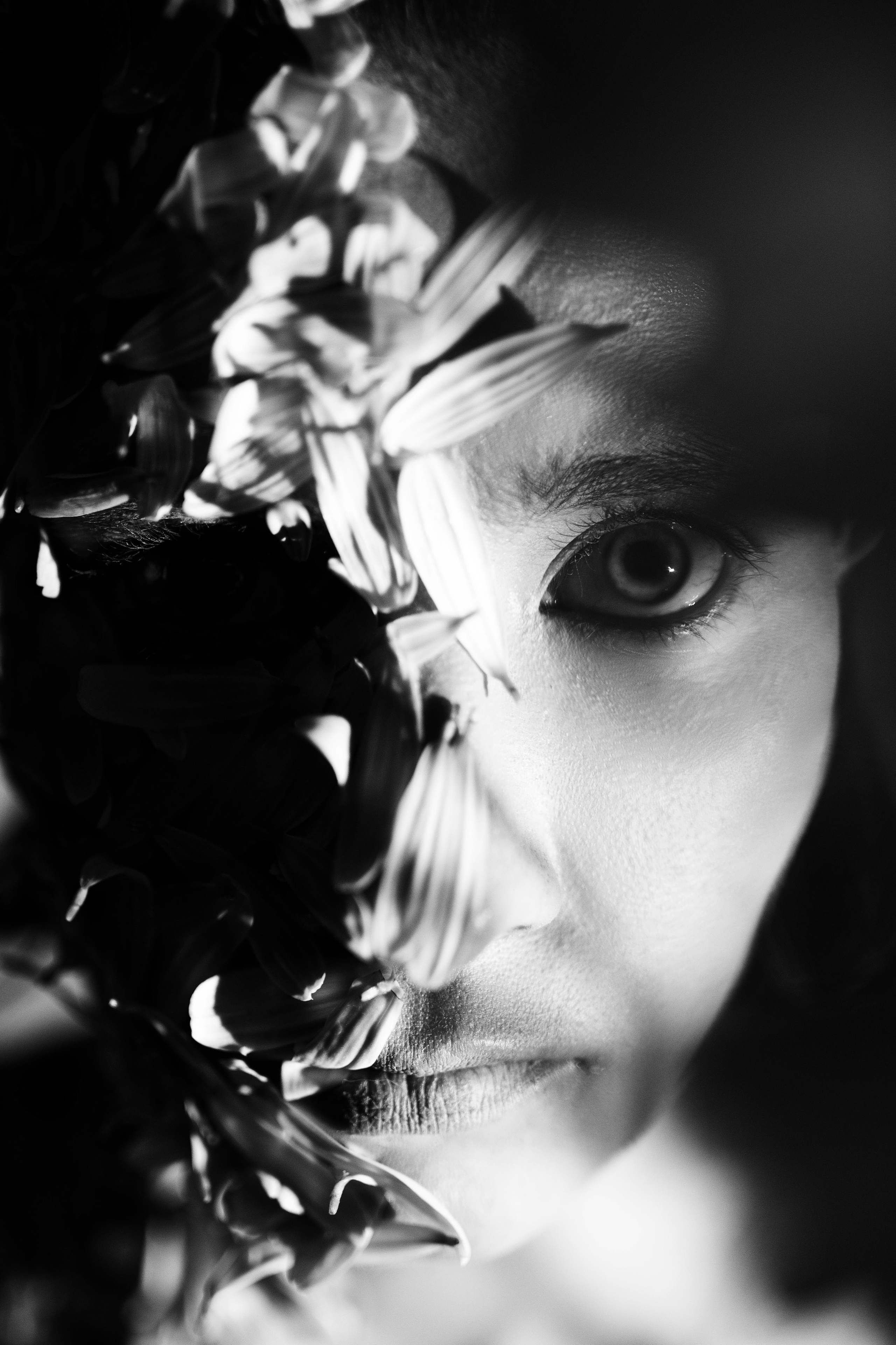 DAISY. Фотограф Елена Богачева (lenalena_na_na_na)