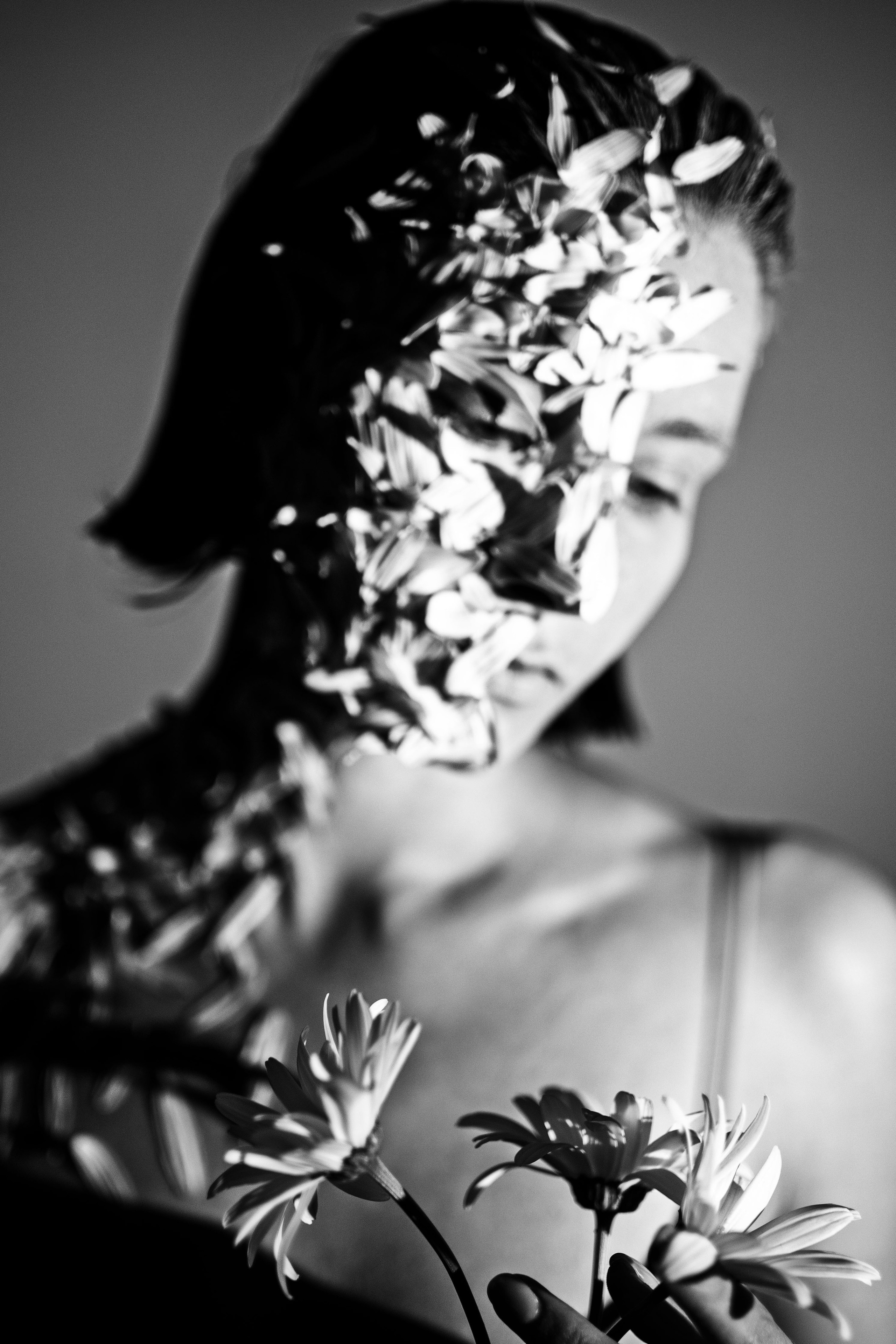 DAISY. Фотограф Елена Богачева (lenalena_na_na_na)