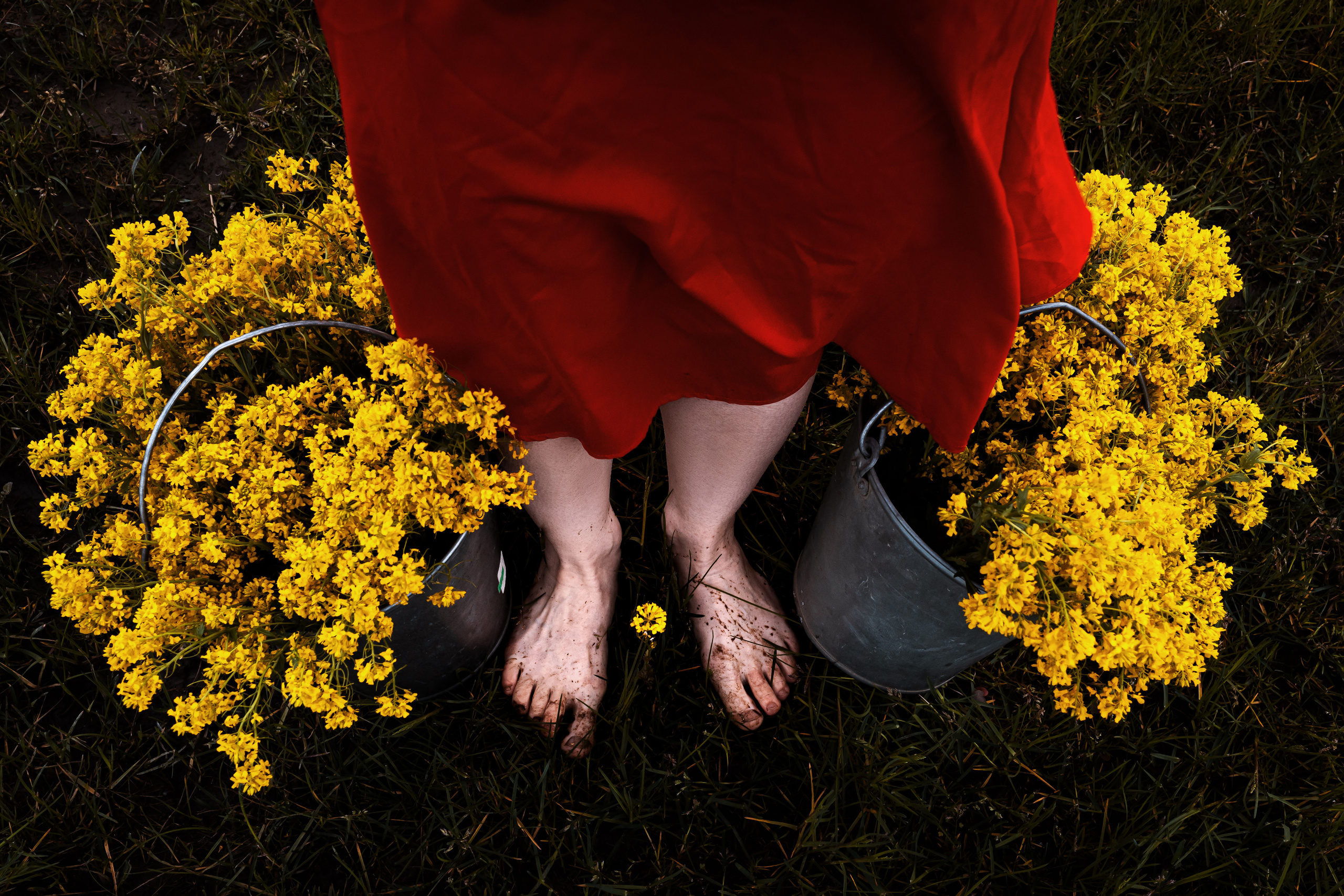 Ольга, Ленинградская область, Ломоносовский район, 2021