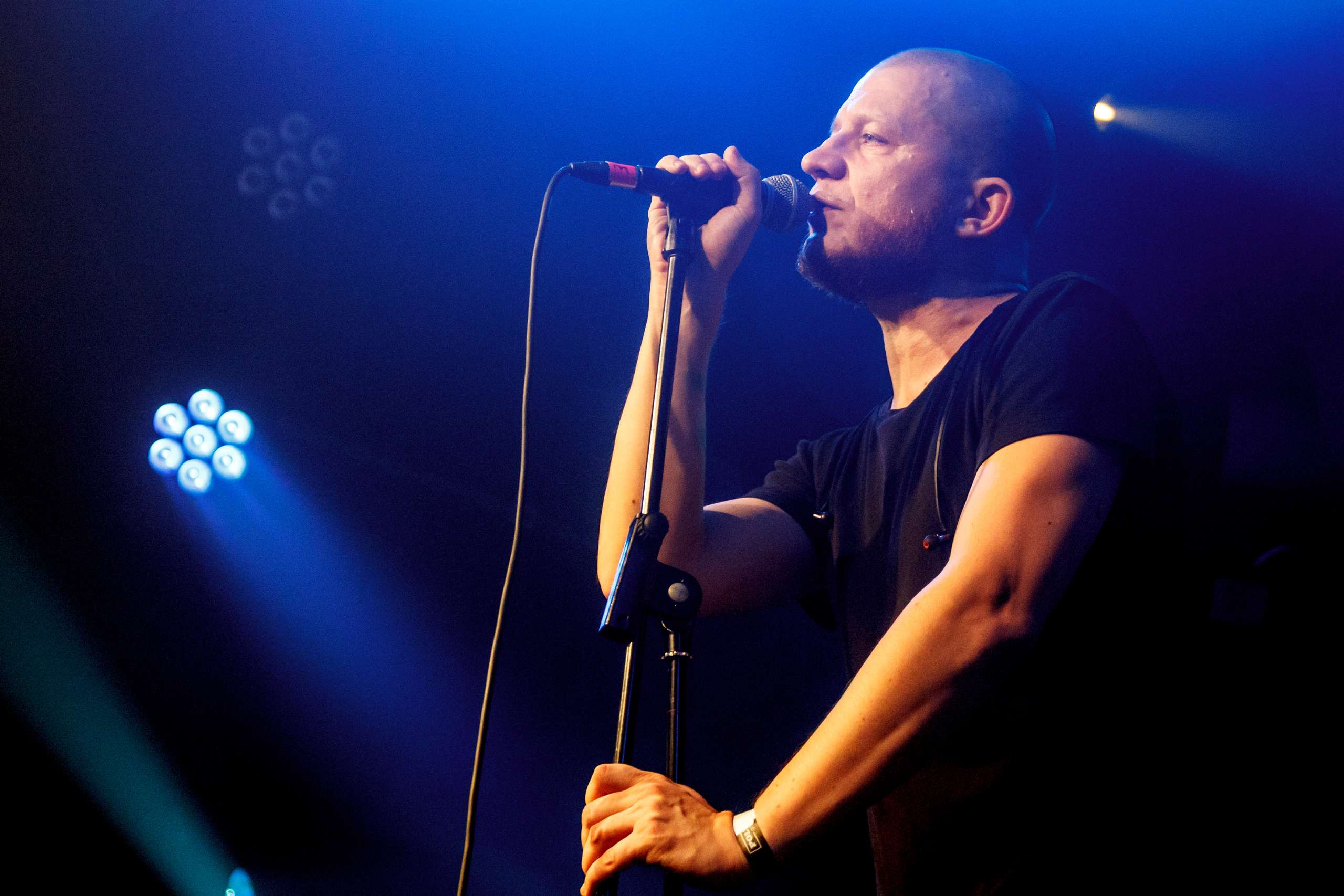 Петля Пристрастия, Акакао, Санкт-Петербург, 2020