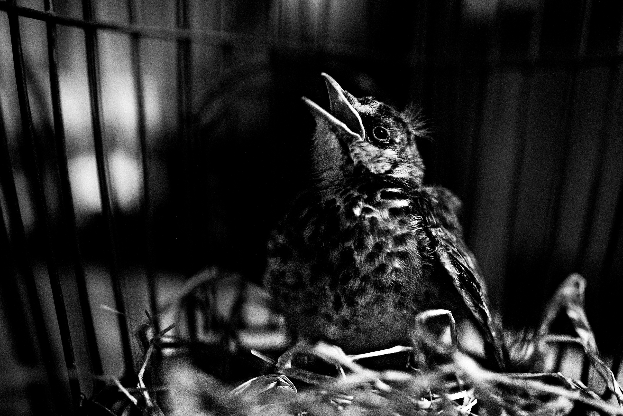 Otto Dix, ГАФТ, презентация сингла Автократор, Санкт-Петербург, 2020