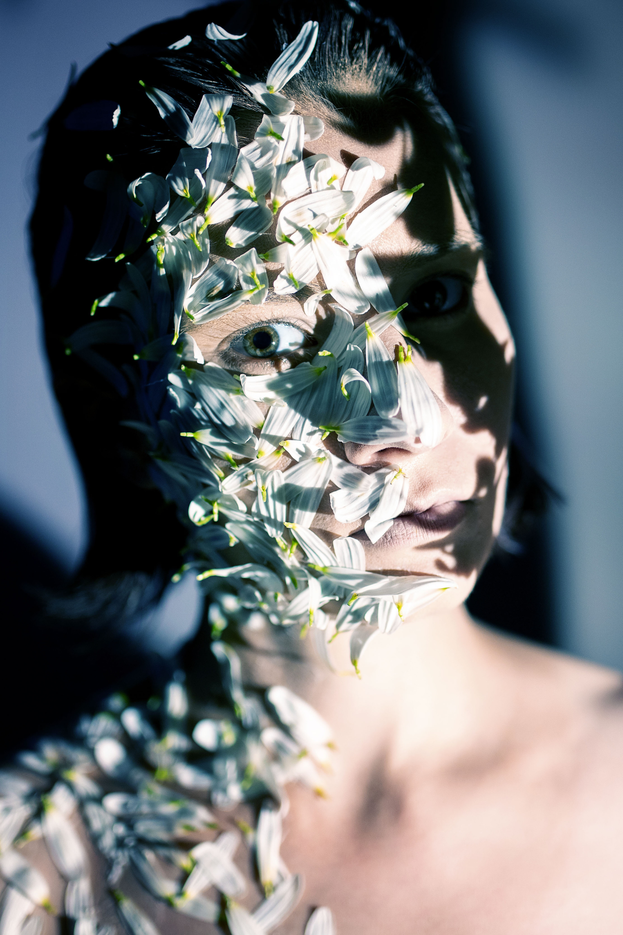 DAISY. Фотограф Елена Богачева (lenalena_na_na_na)