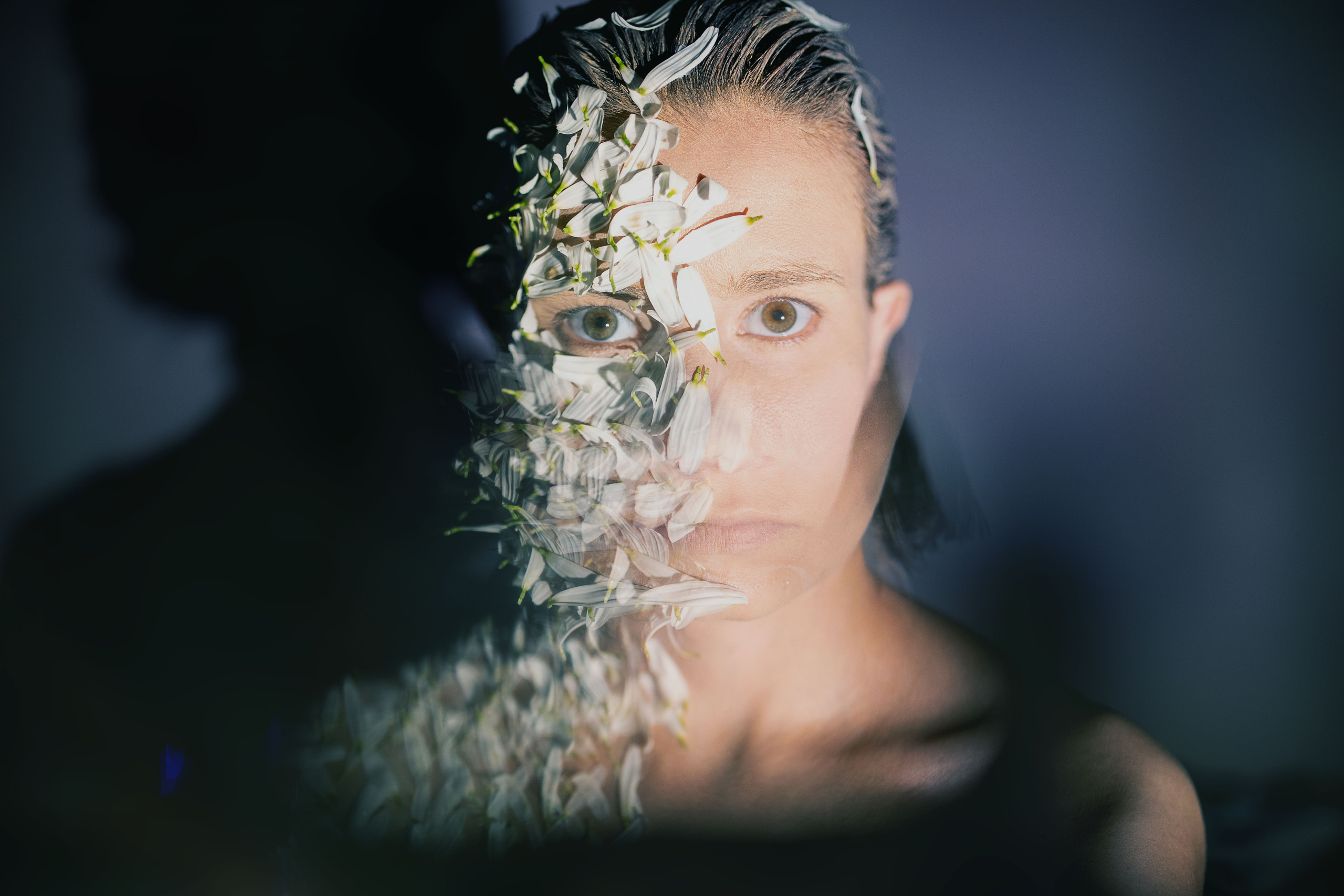 DAISY. Фотограф Елена Богачева (lenalena_na_na_na)