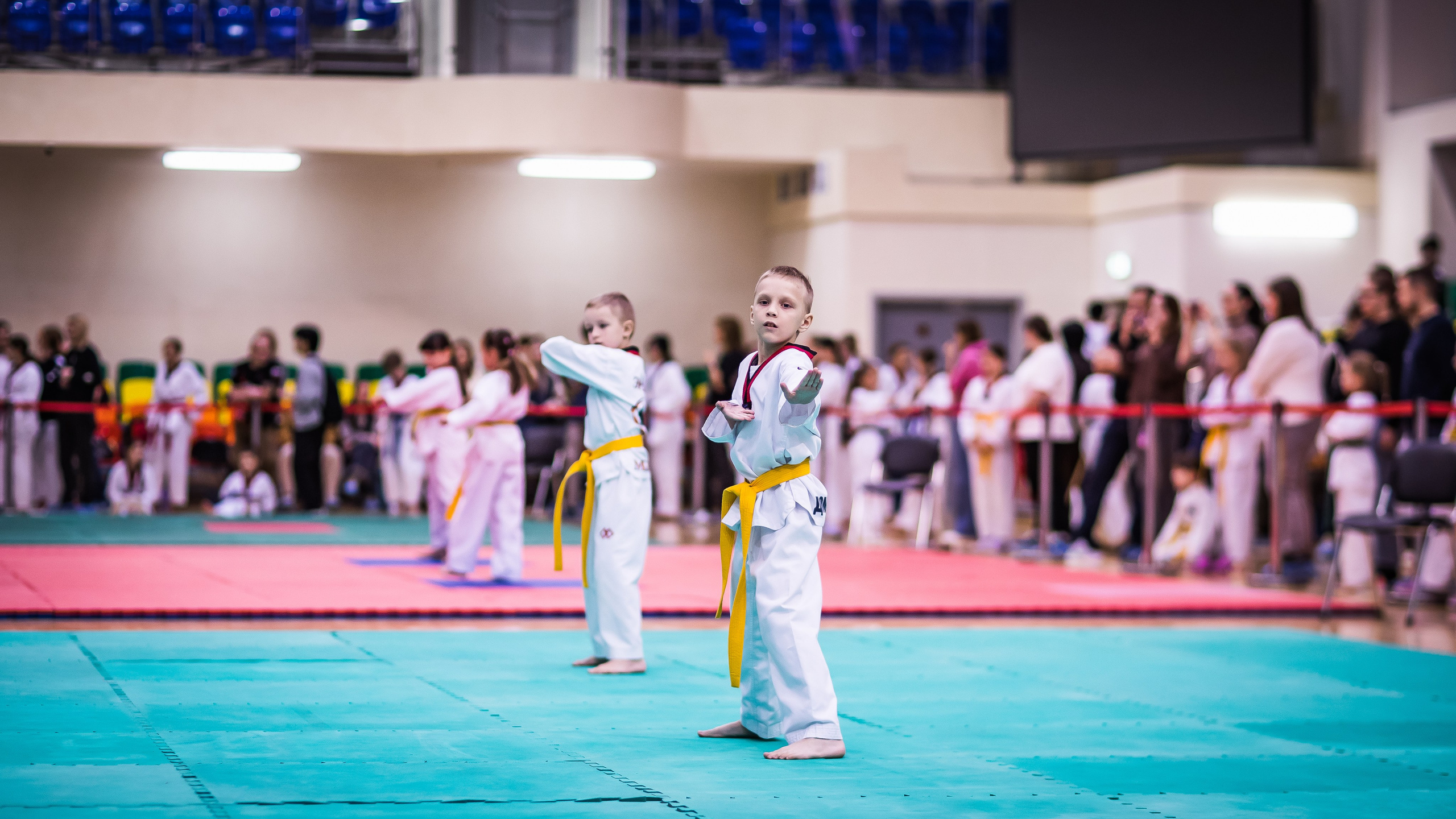 Турнир Федерации детского тхэквондо России по дисциплине ПХУМСЭ. Спортивный фотограф Максим Серегин