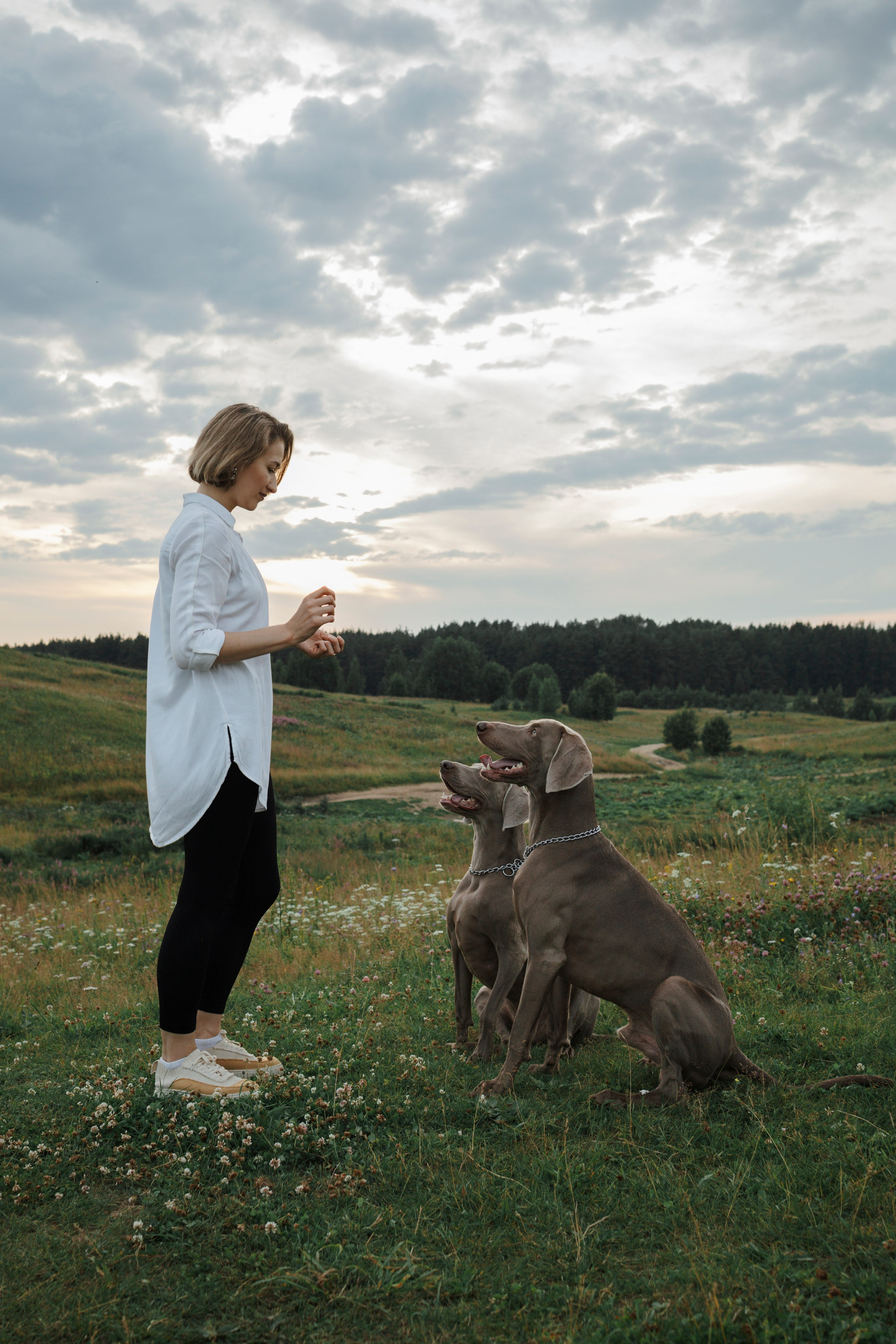 Маргарита и веймаранеры. Фотограф-анималист в Санкт-Петеребурге Титова Алиса