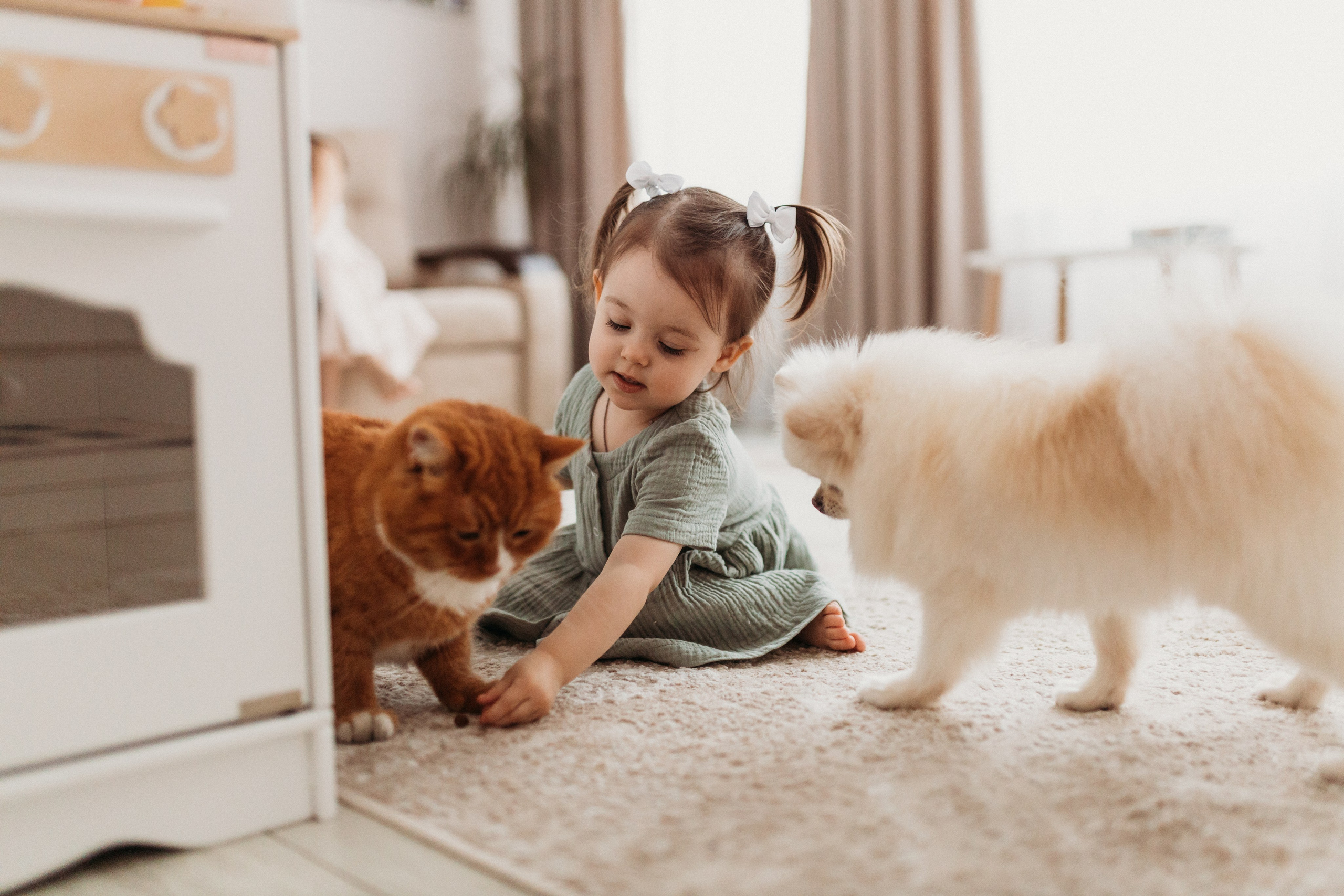 Домашняя фотосессия День Рождения Василисы. Фотограф Тверь. Свадебные, семейные, индивидуальные фотосессии