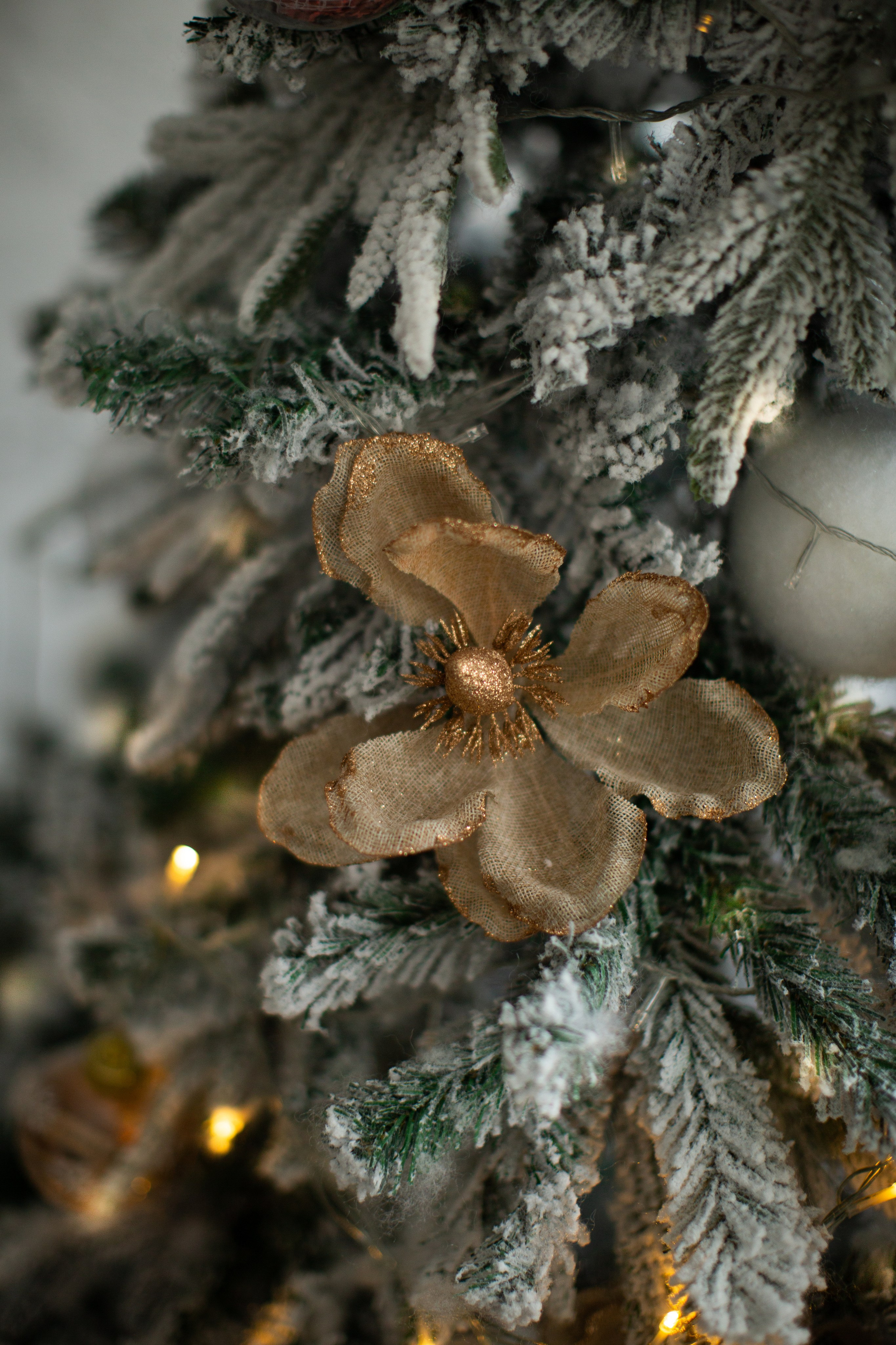 Нг24. Фотограф НатаФото (Наталья Яковенко) Дмитров Москва Питер