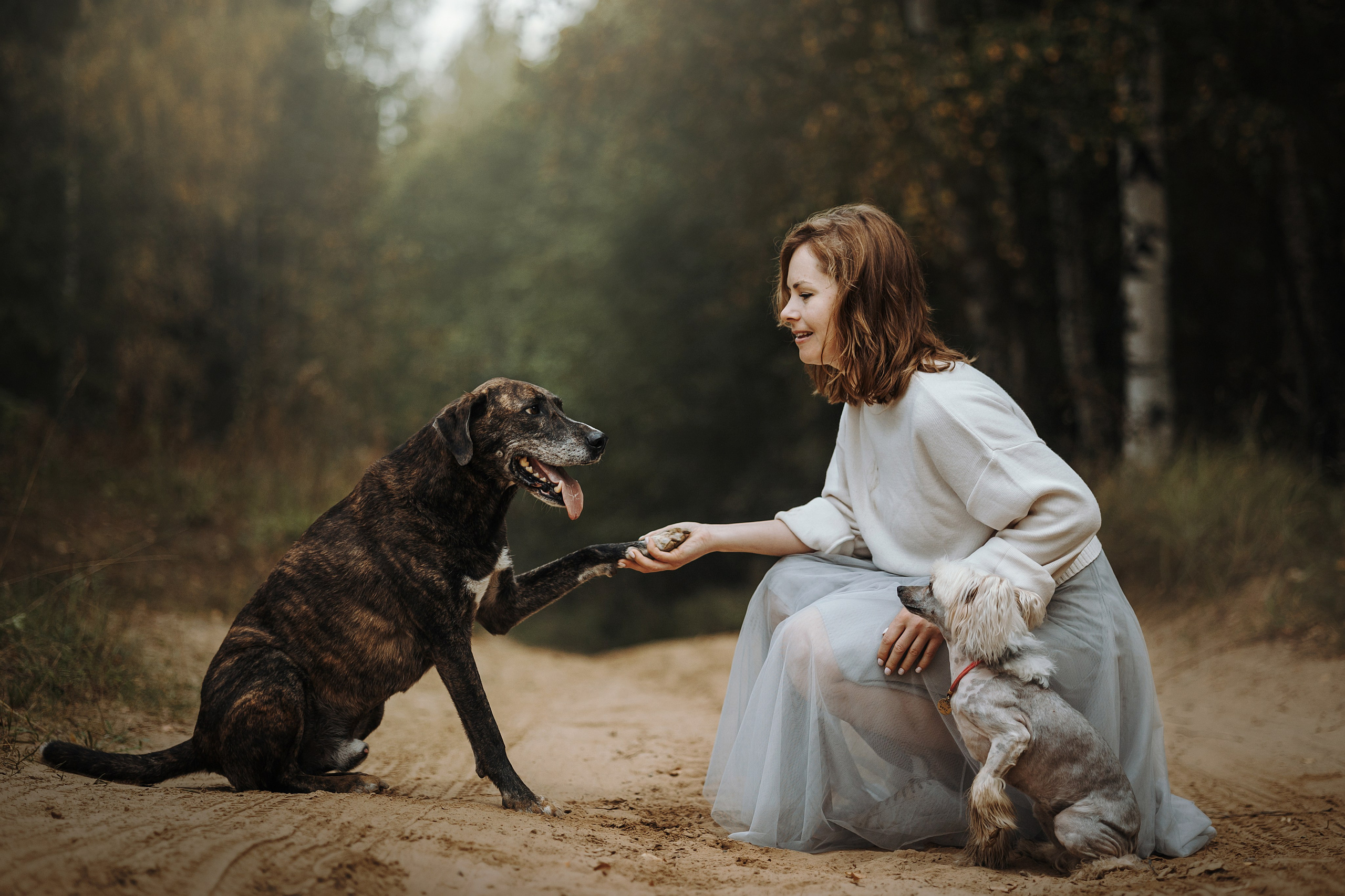 Любовь и ее хвостики. Фотограф — Анималист | Санкт-Петербург