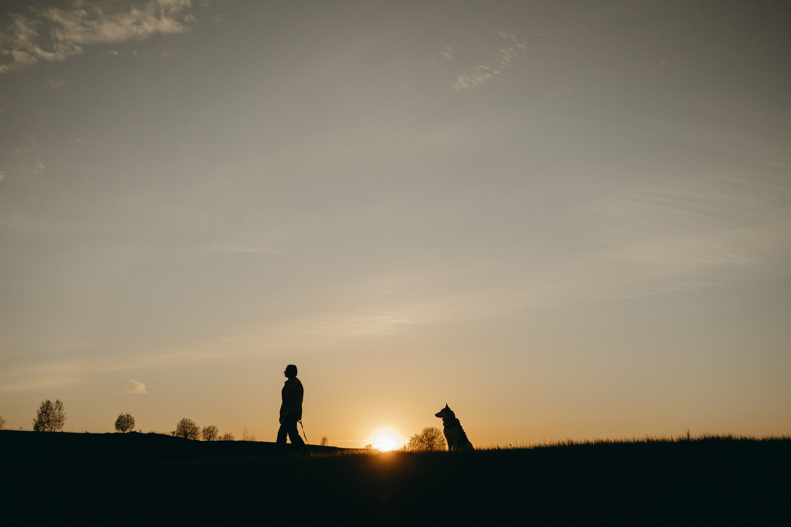 Саша и Зельда. Фотограф — Анималист | Санкт-Петербург