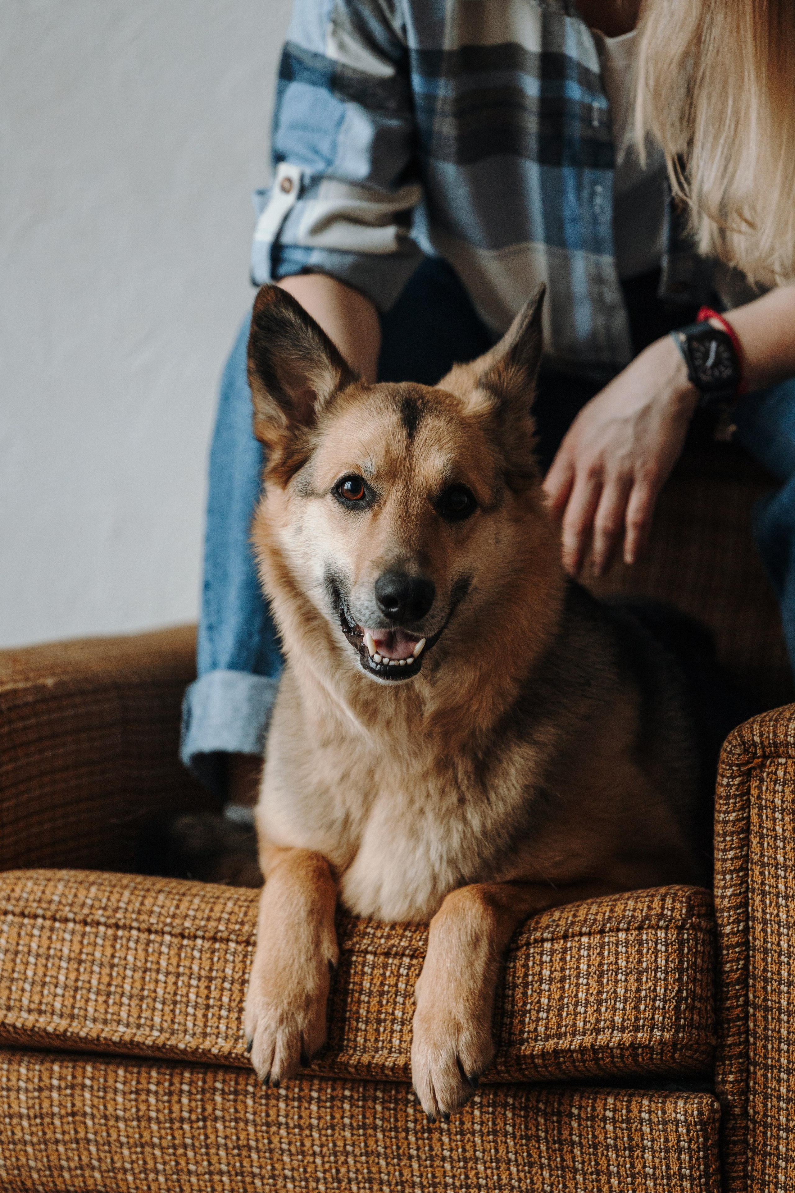 Лена и Дёма. Фотограф — Анималист | Санкт-Петербург