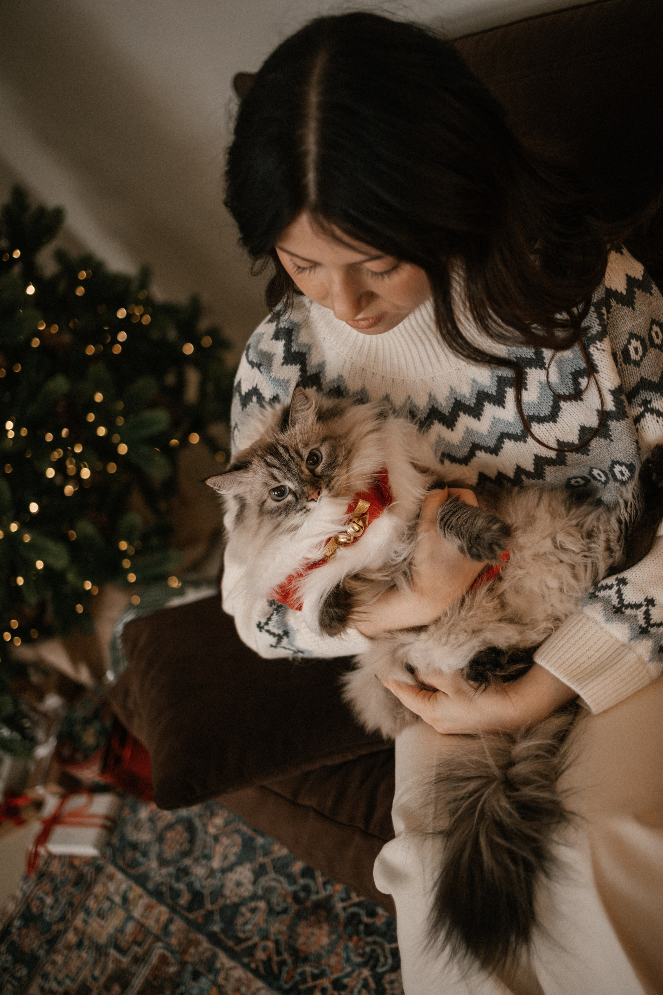 Камилла и ее девочки. Фотограф — Анималист | Санкт-Петербург