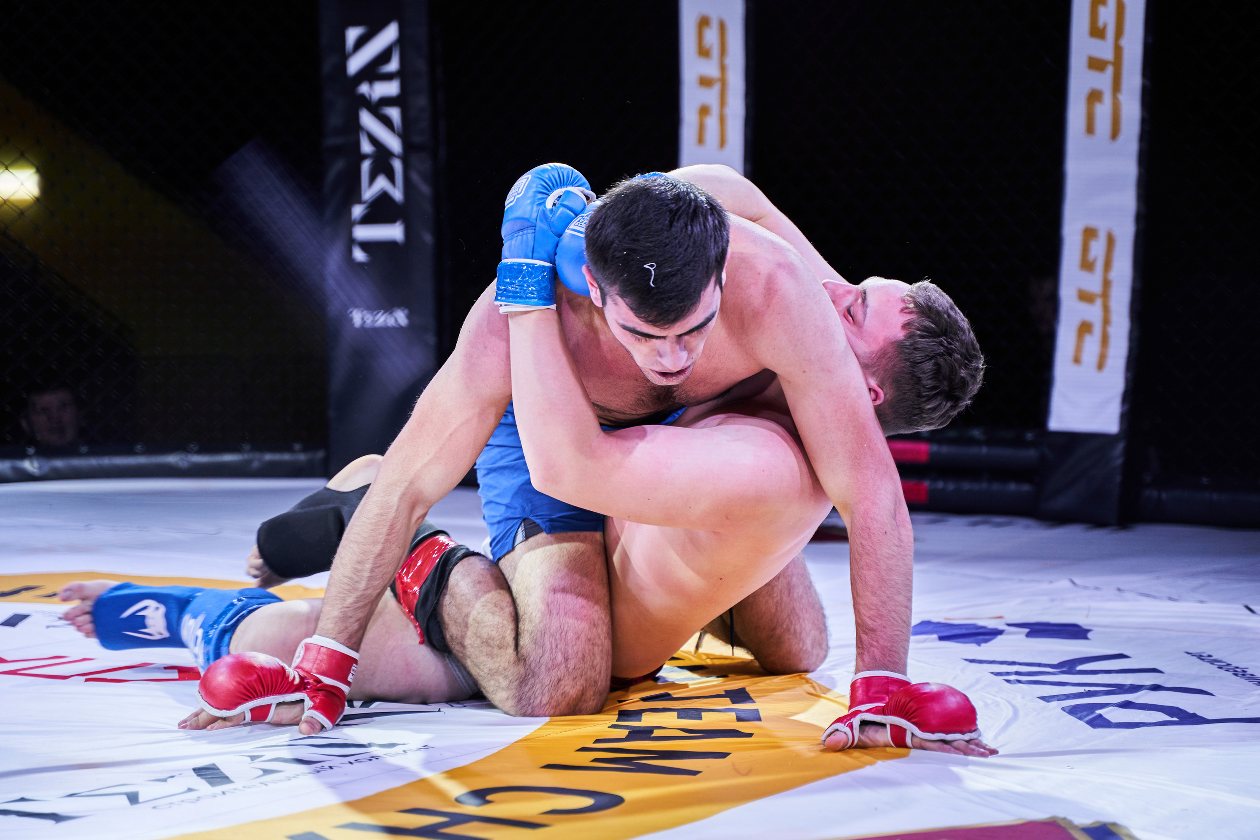 Соревнования MMA «Кубок Спарты». Услуги фотографа в Смоленске. Фотограф на свадьбу