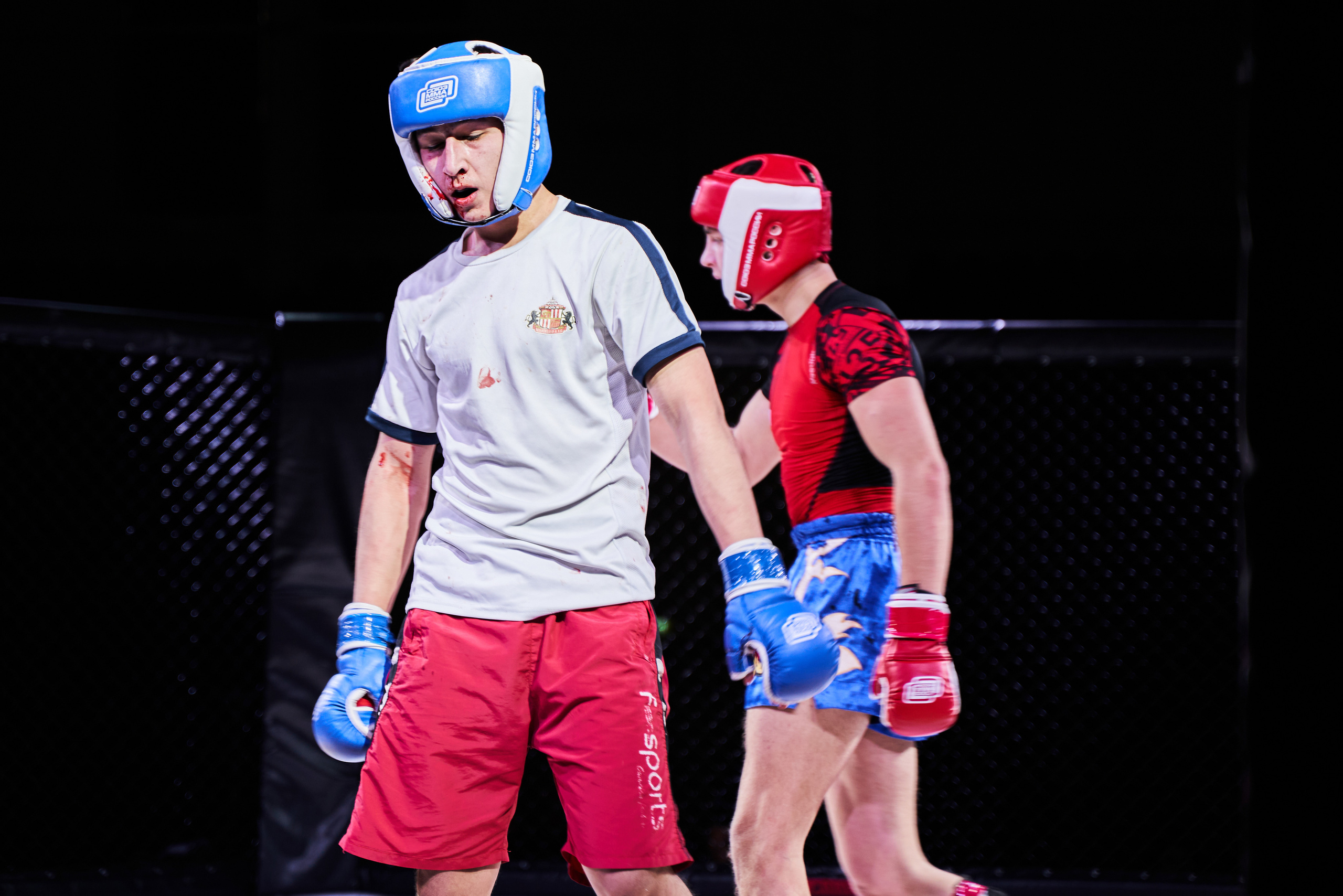 Соревнования MMA «Кубок Спарты». Услуги фотографа в Смоленске. Фотограф на свадьбу