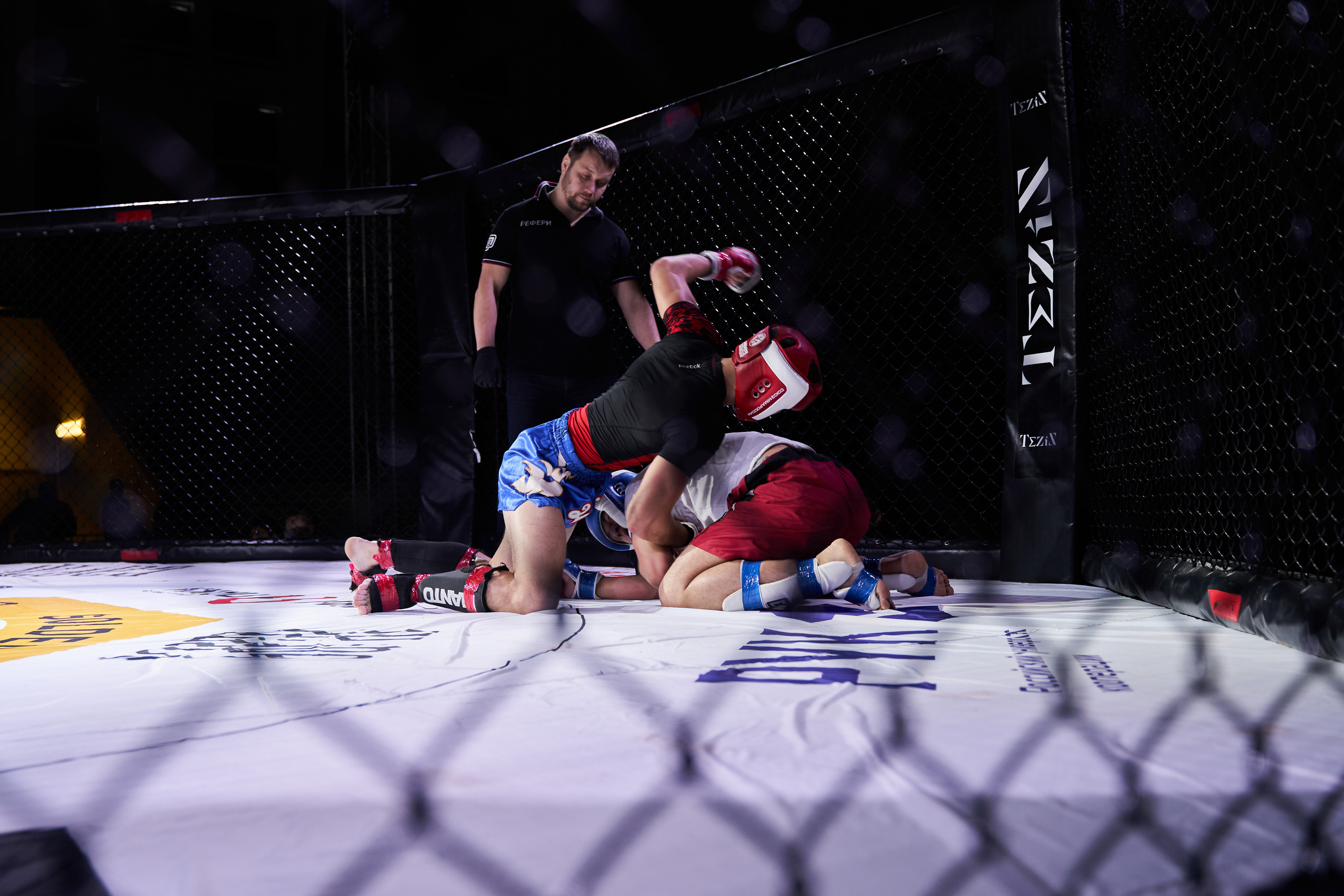 Соревнования MMA «Кубок Спарты». Услуги фотографа в Смоленске. Фотограф на свадьбу