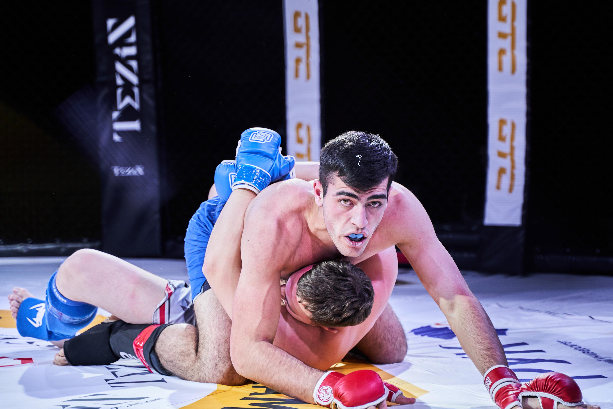 Соревнования MMA «Кубок Спарты». Услуги фотографа в Смоленске. Фотограф на свадьбу