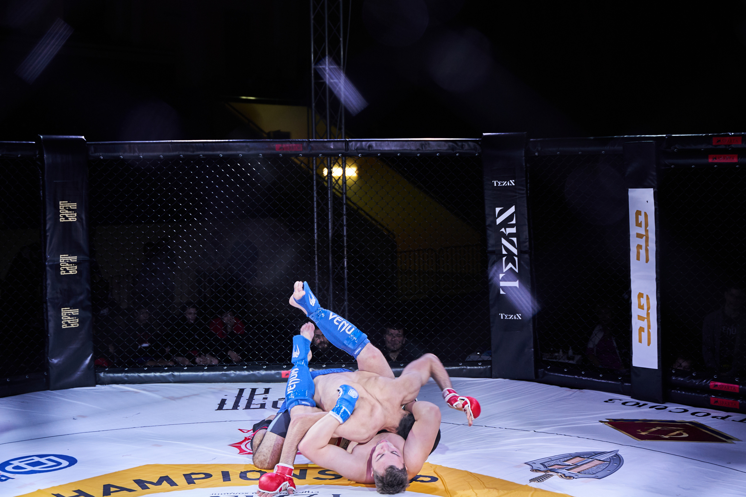 Соревнования MMA «Кубок Спарты». Услуги фотографа в Смоленске. Фотограф на свадьбу