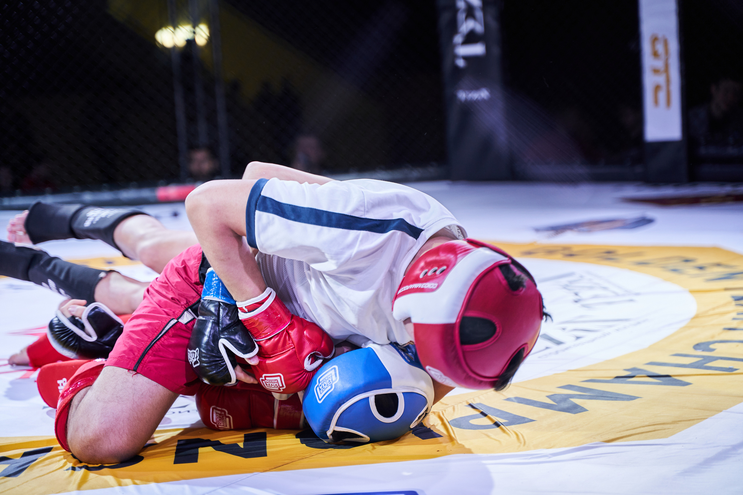 Соревнования MMA «Кубок Спарты». Услуги фотографа в Смоленске. Фотограф на свадьбу