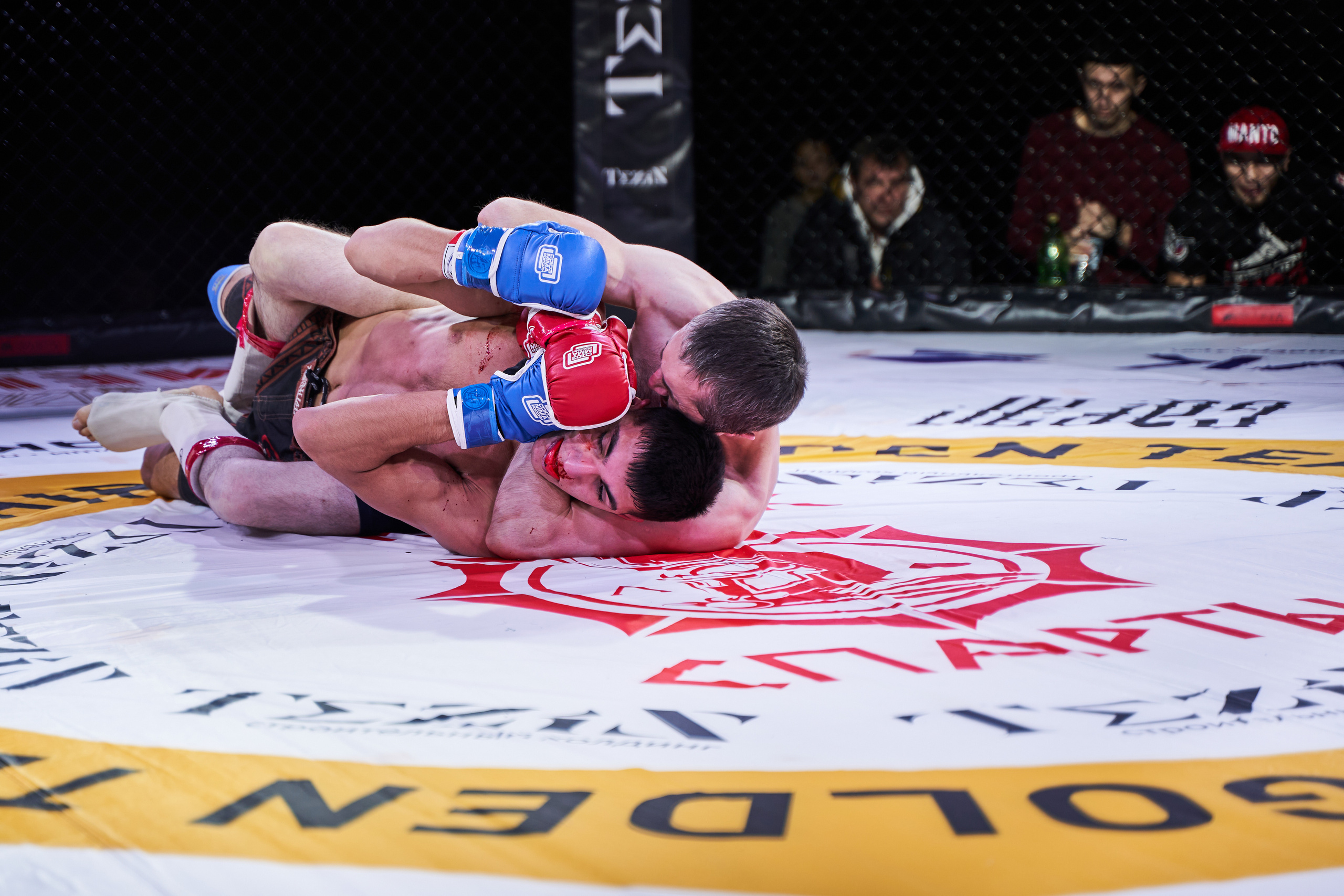 Соревнования MMA «Кубок Спарты». Услуги фотографа в Смоленске. Фотограф на свадьбу