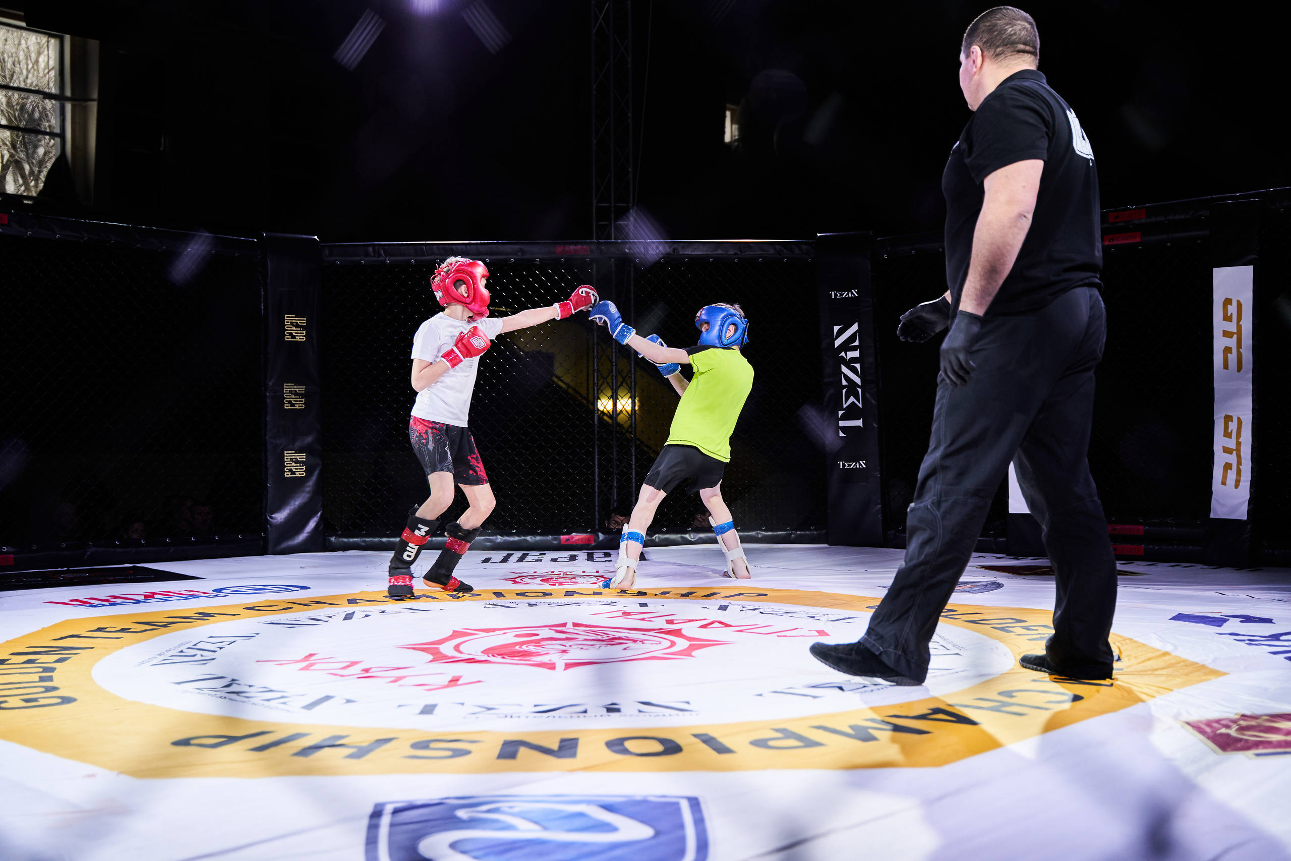 Соревнования MMA «Кубок Спарты». Услуги фотографа в Смоленске. Фотограф на свадьбу