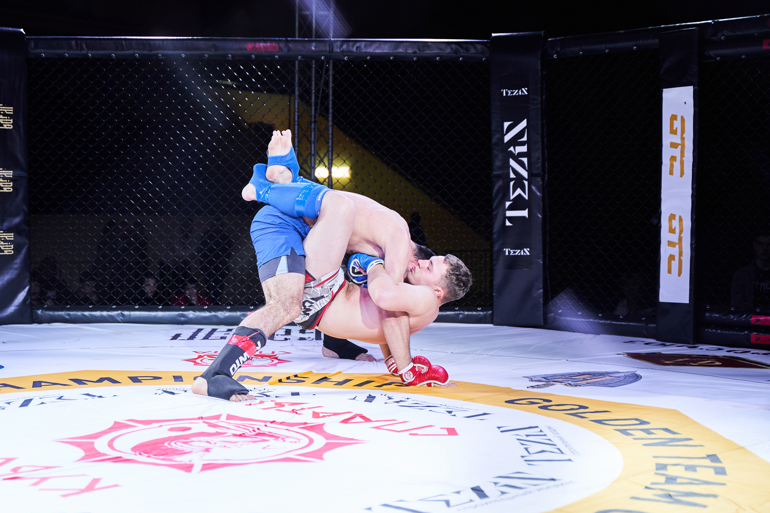 Соревнования MMA «Кубок Спарты». Услуги фотографа в Смоленске. Фотограф на свадьбу