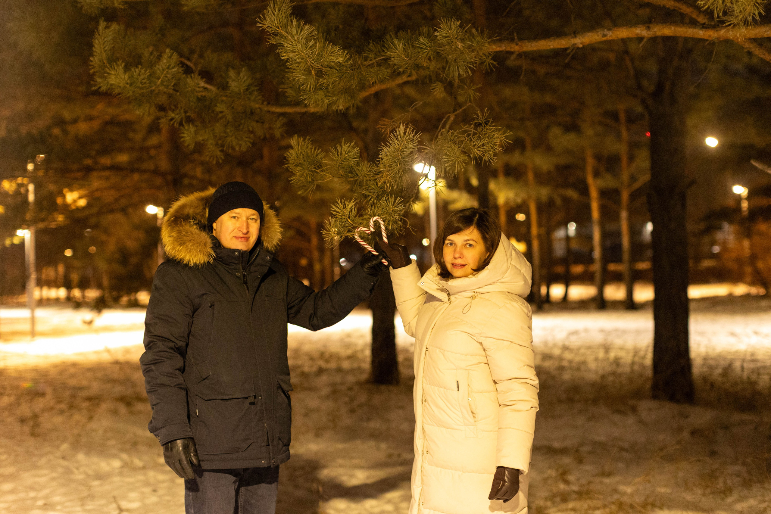 Новогодний вечер. Art my Pho