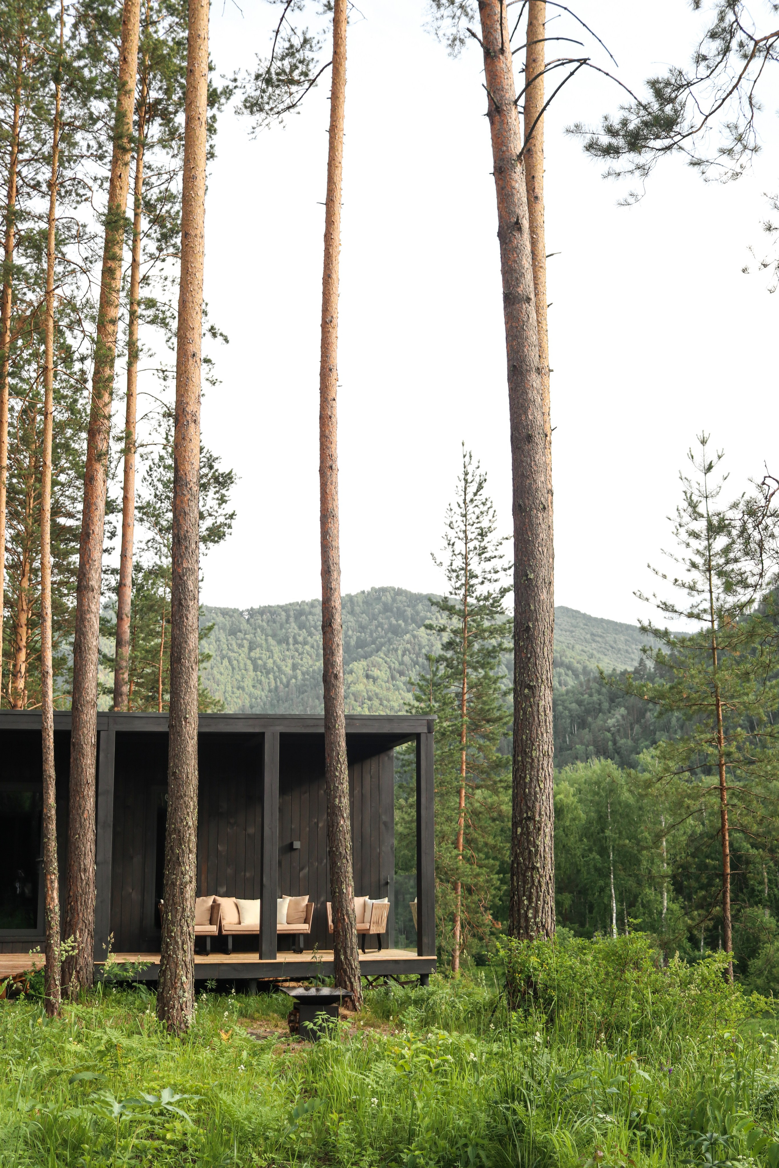 «Pinewood» парк-отель, респ. Алтай. Контент фотограф Дмитрий Борисов