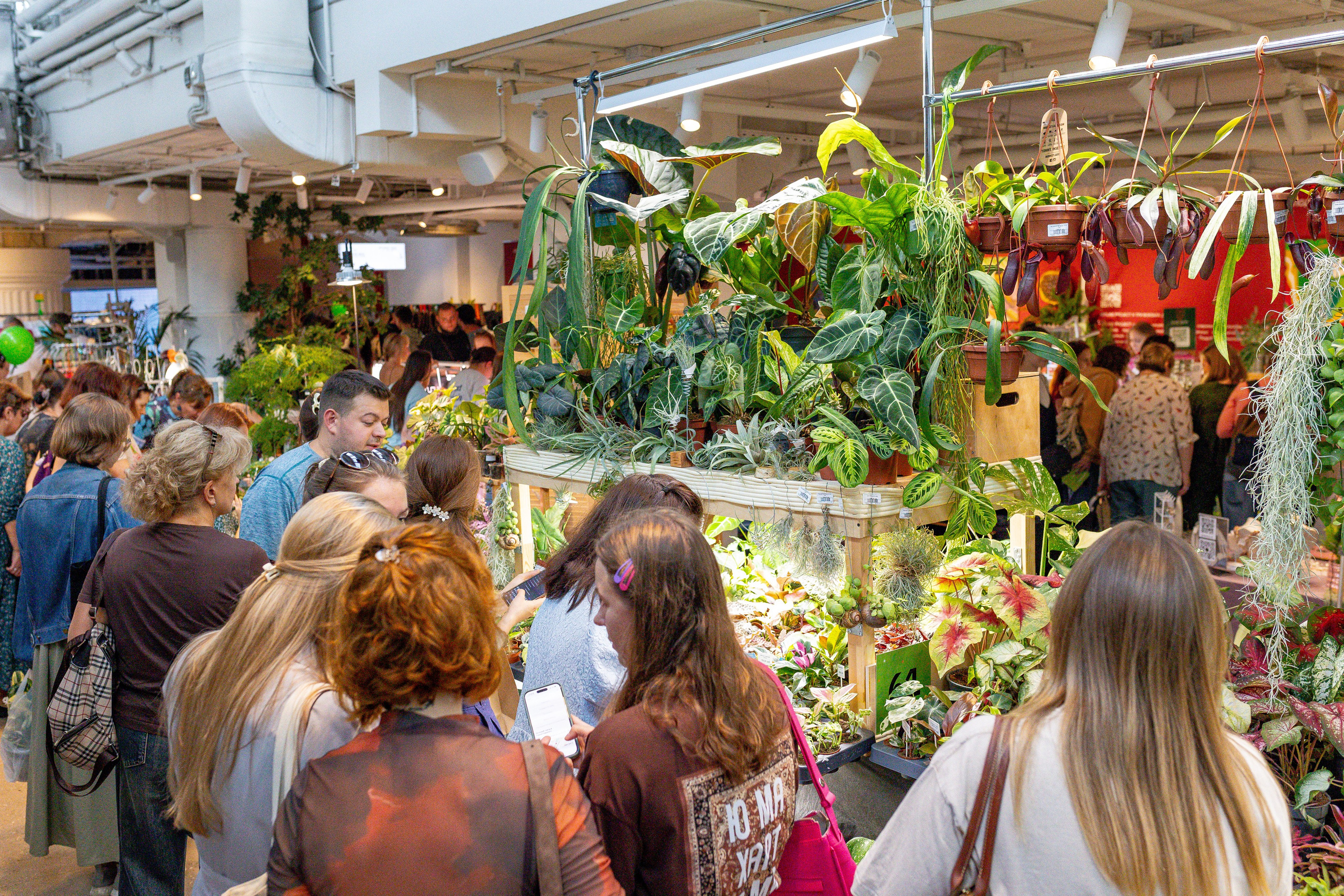 Growbox 5лет. Александра Куликова фотограф, Москва