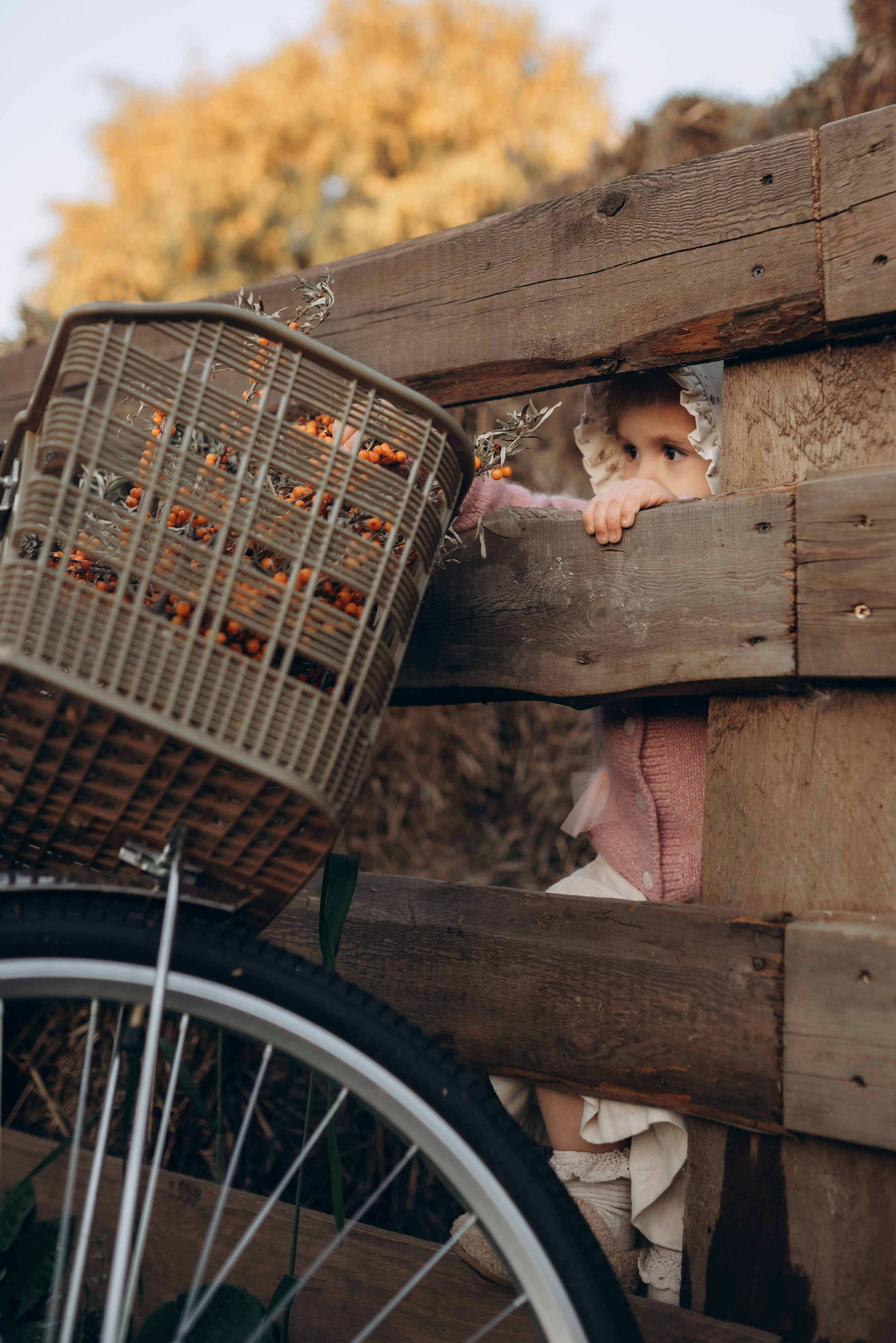 Детство. Семейная фотосессия в Новосибирске от фотографа Ольги Коваль
