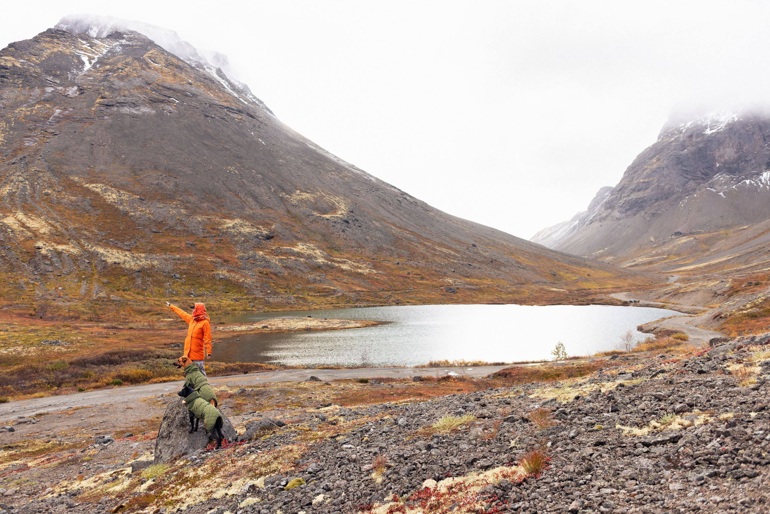 Кольский. Фотограф и видеограф анималист Аганина Дарья