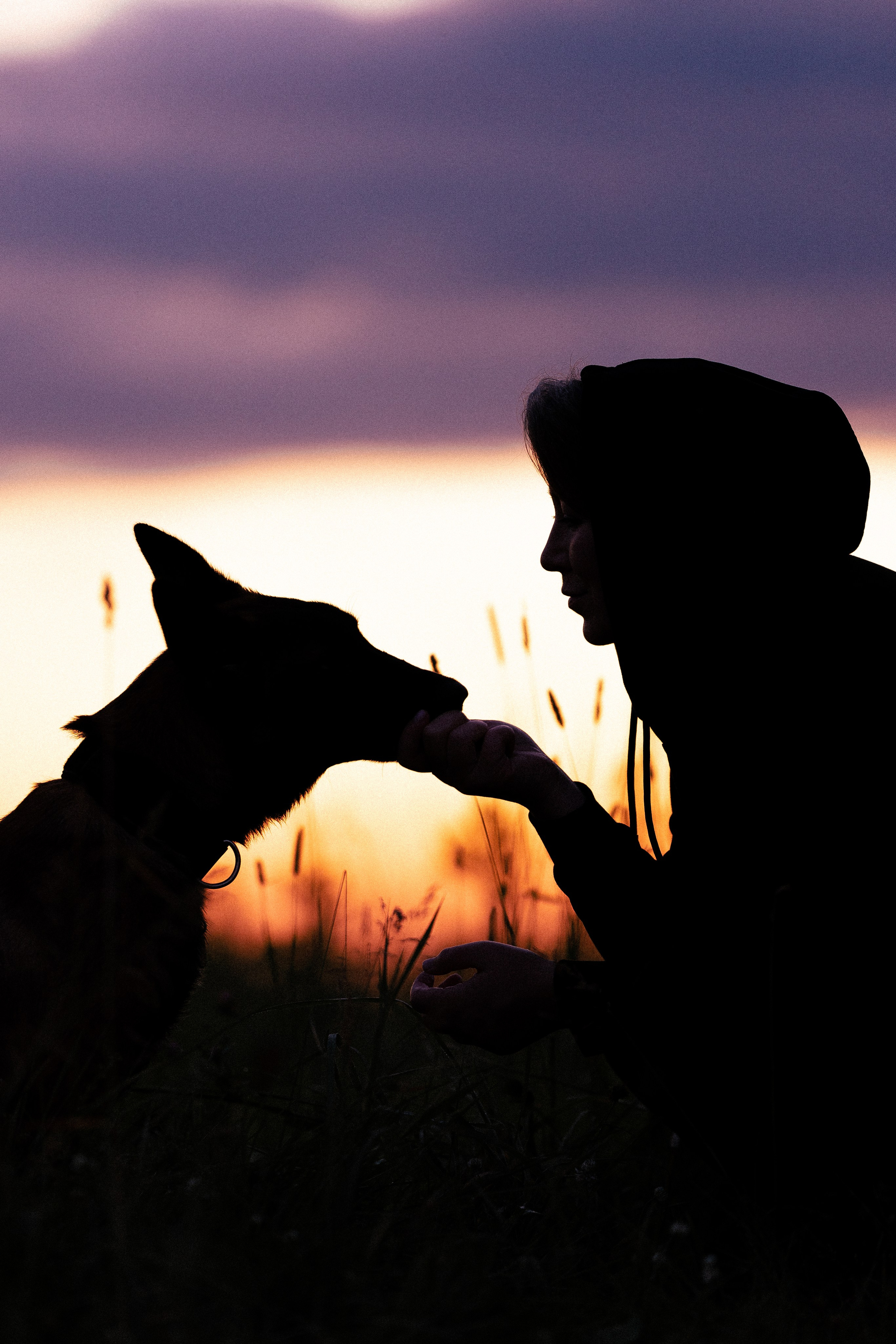 Галина и Лоя. Фотограф и видеограф анималист Аганина Дарья