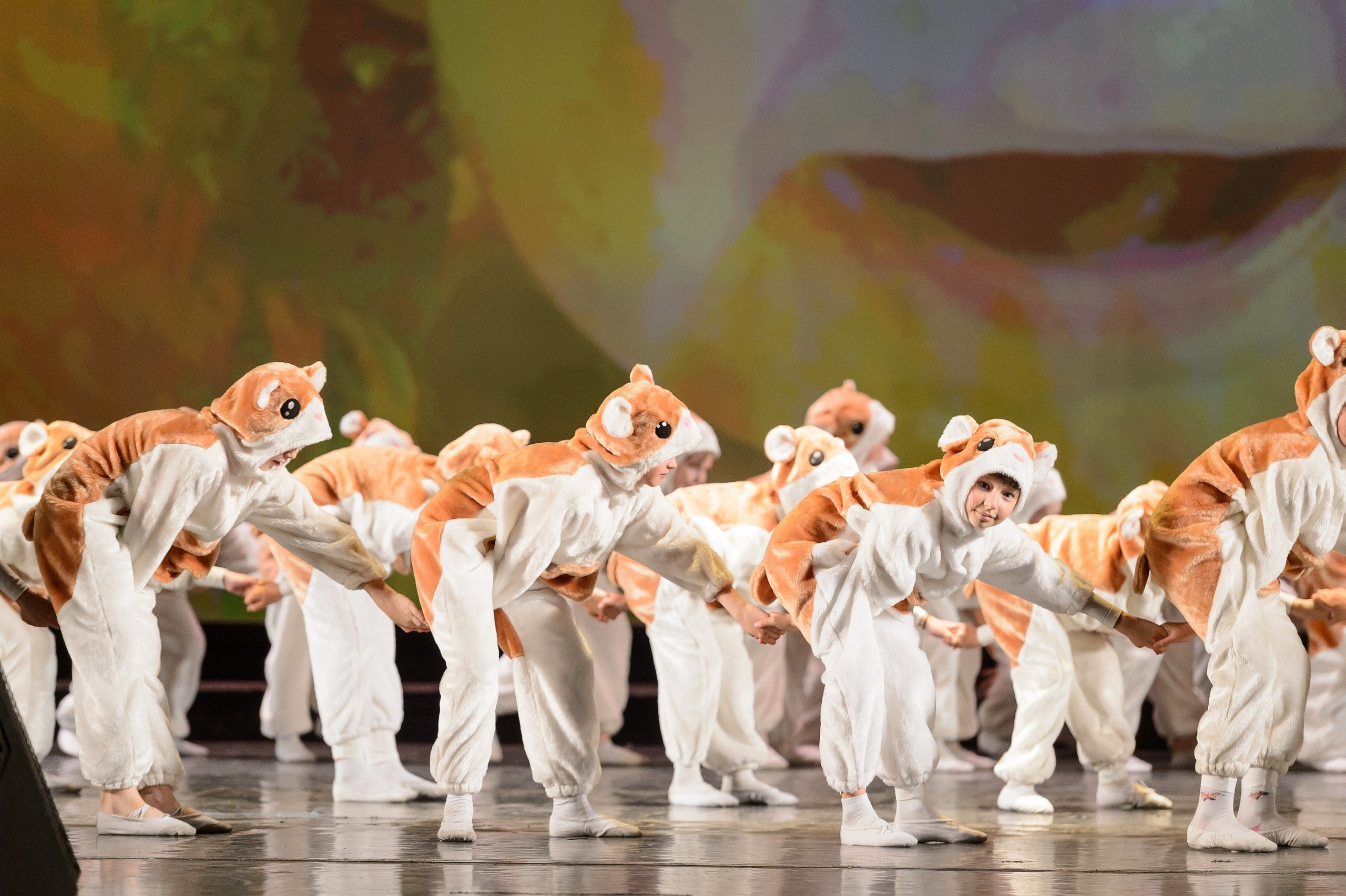 23 мая, концерт 5 лет, БКЗ. Золотое яблочко