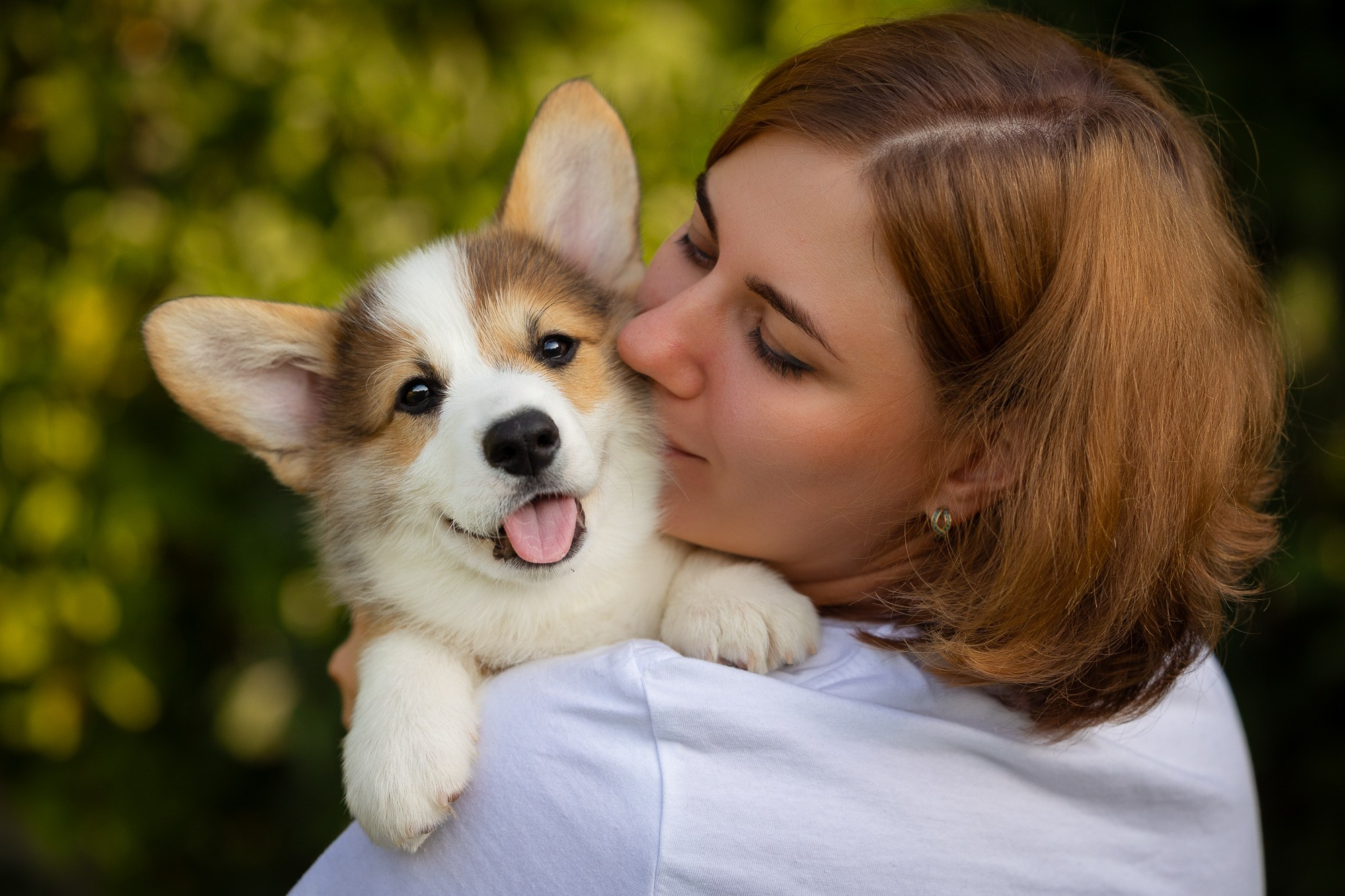 Фотосъёмки щенков. Фотограф-анималист Natalia Deingel | Фотосъемка собак в Москве